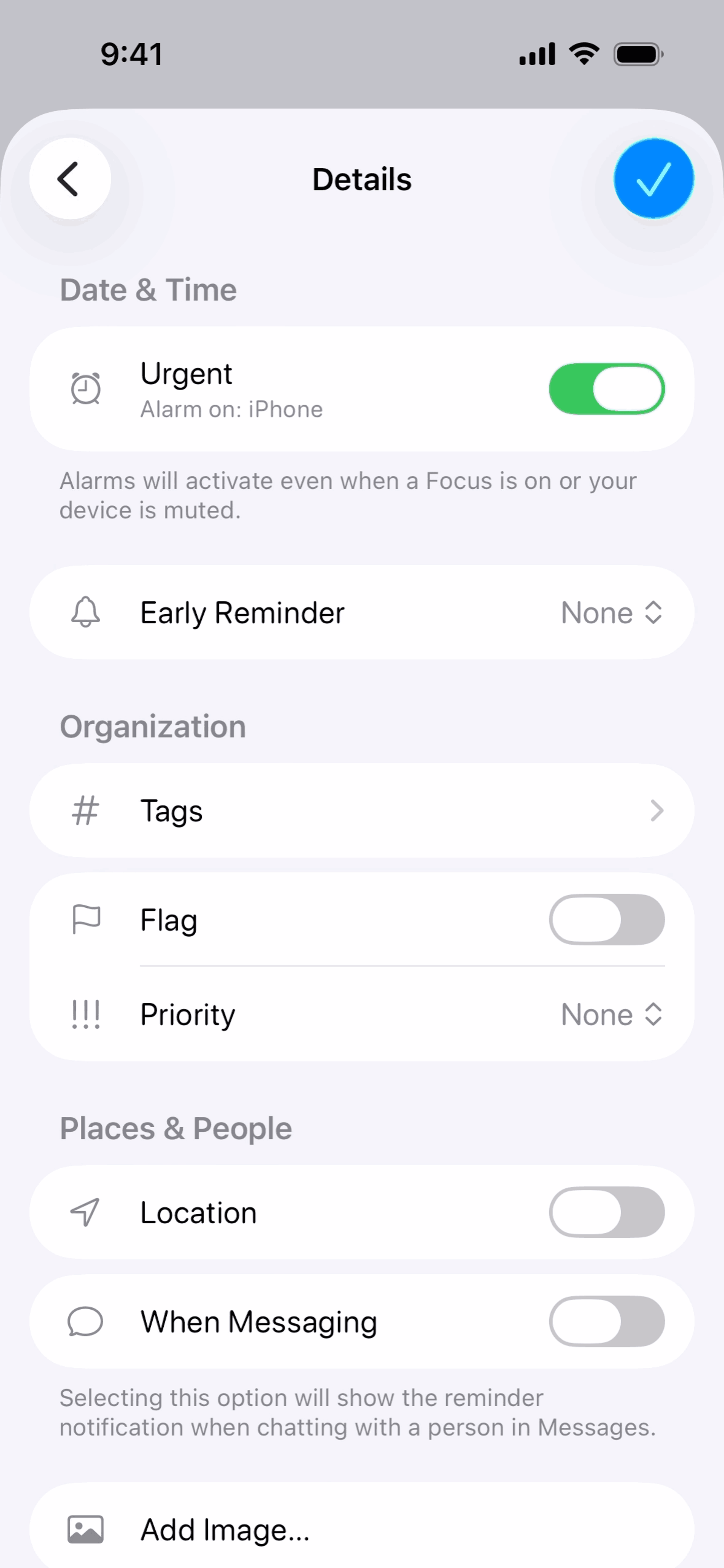 Reminders iOS Productivity interface screenshot 19