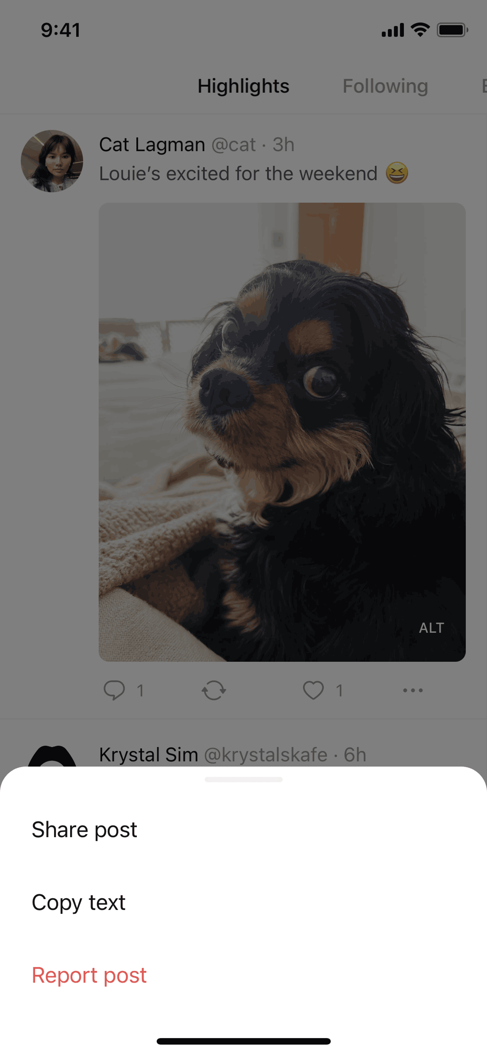 Posts iOS Social Networking interface screenshot 8