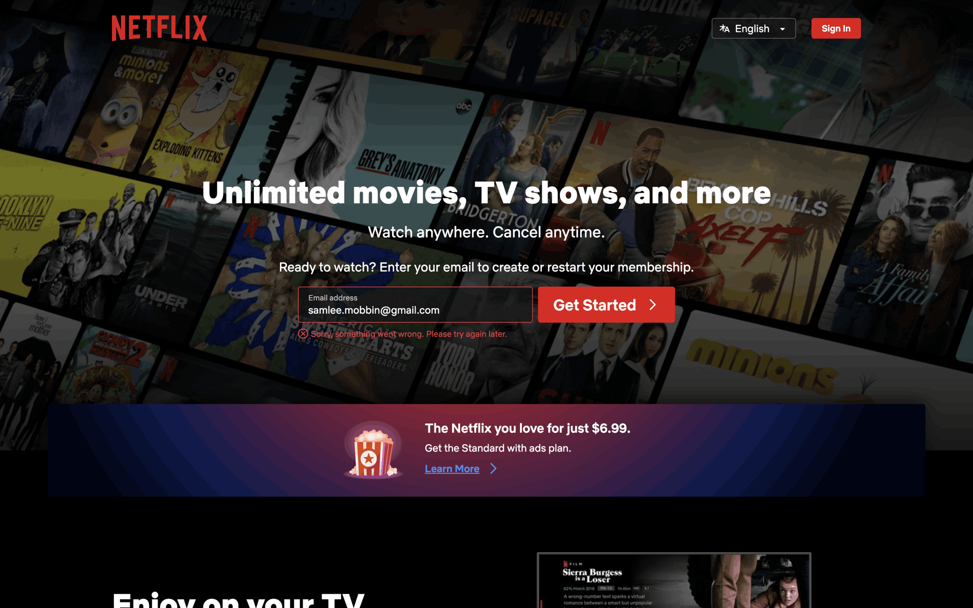 Netflix Web Entertainment interface screenshot 4