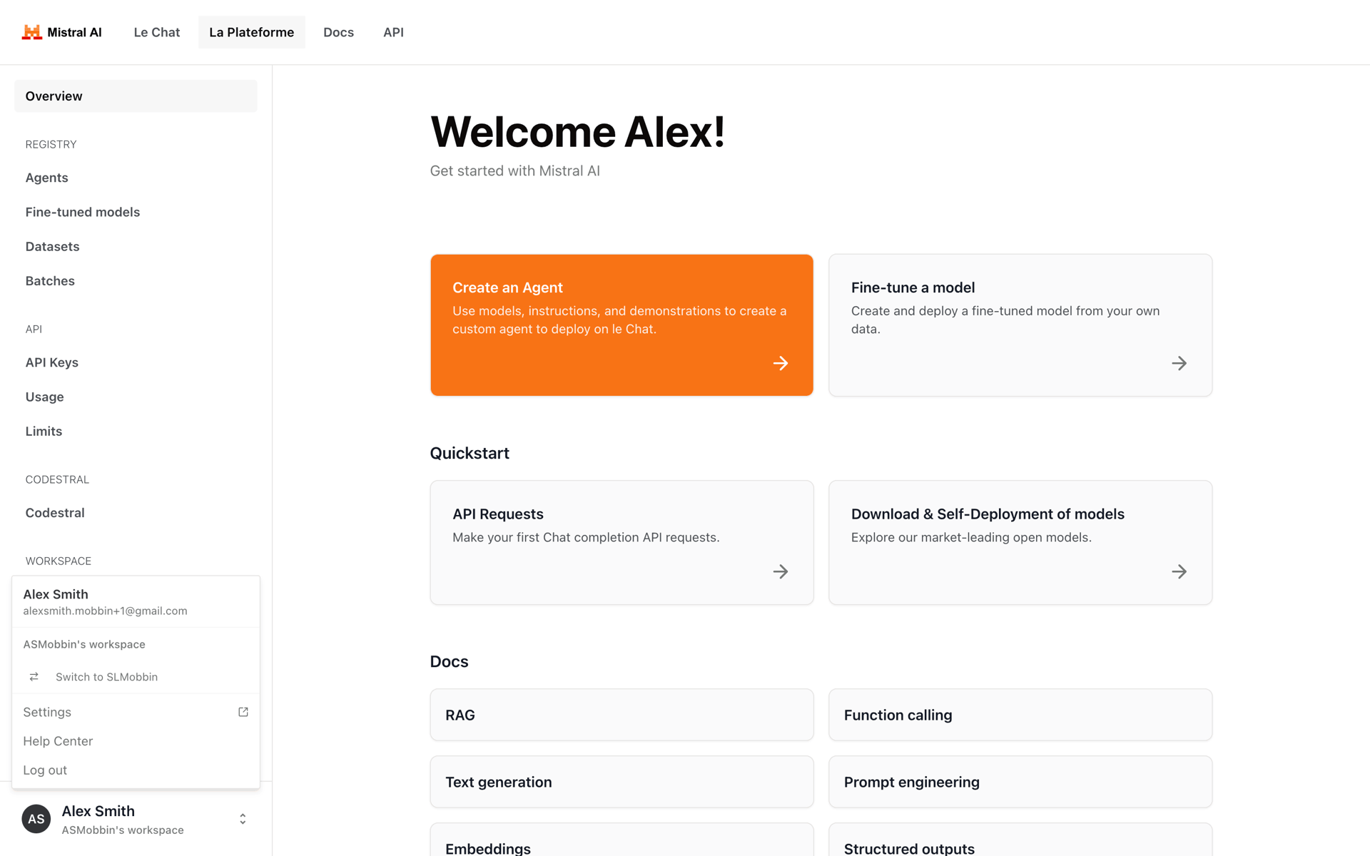 Mistral AI Web AI interface screenshot 24