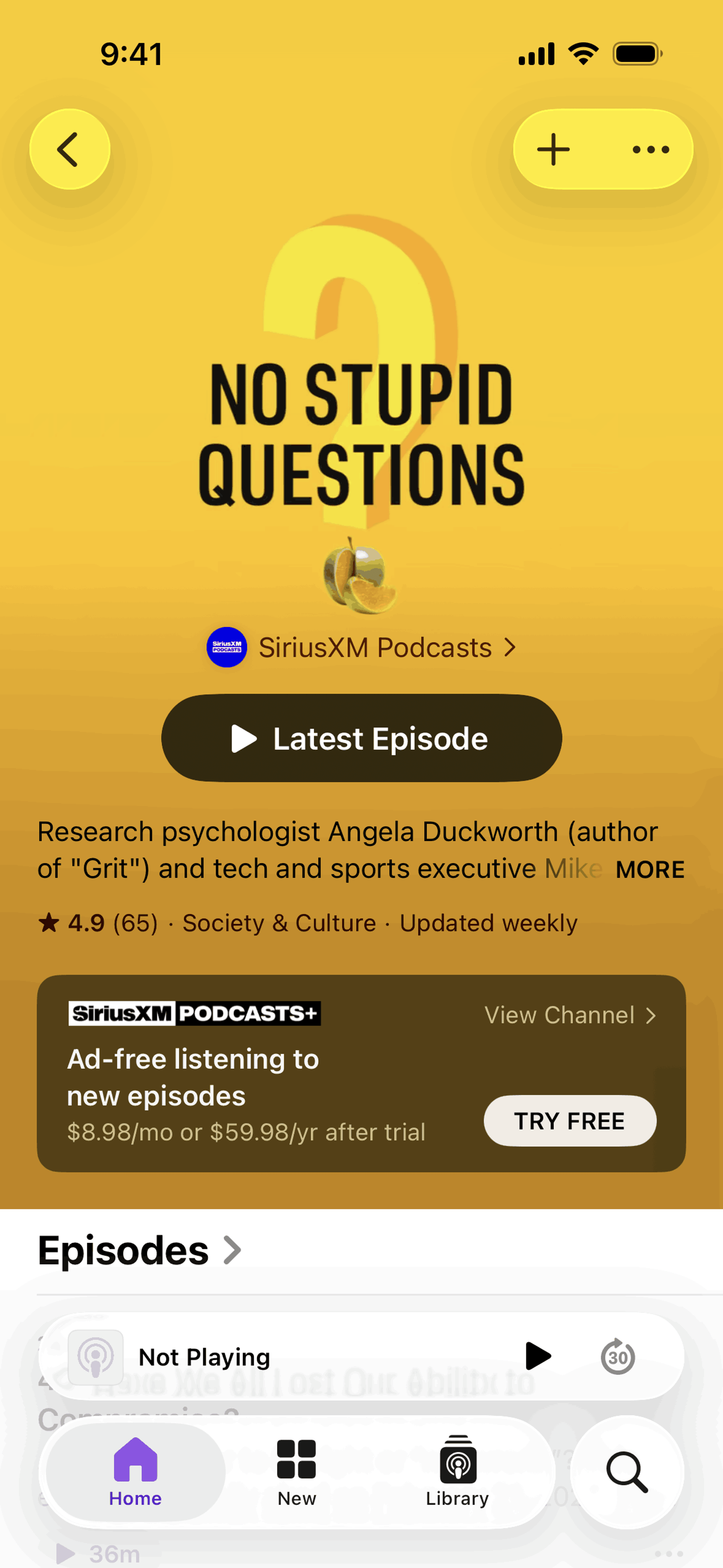 Apple Podcasts iOS Music & Audio interface screenshot 9