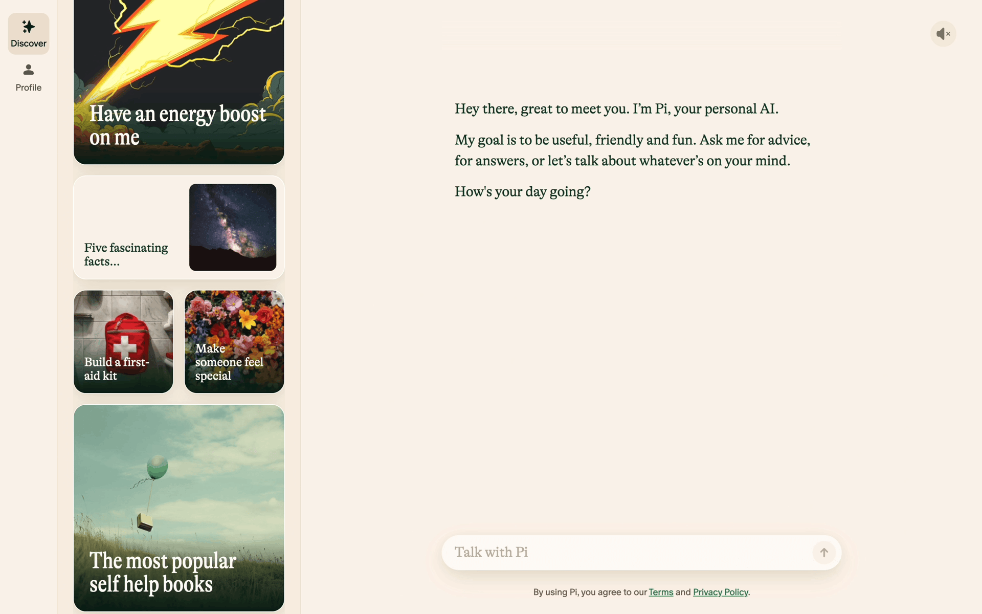 Pi Web AI interface screenshot 4