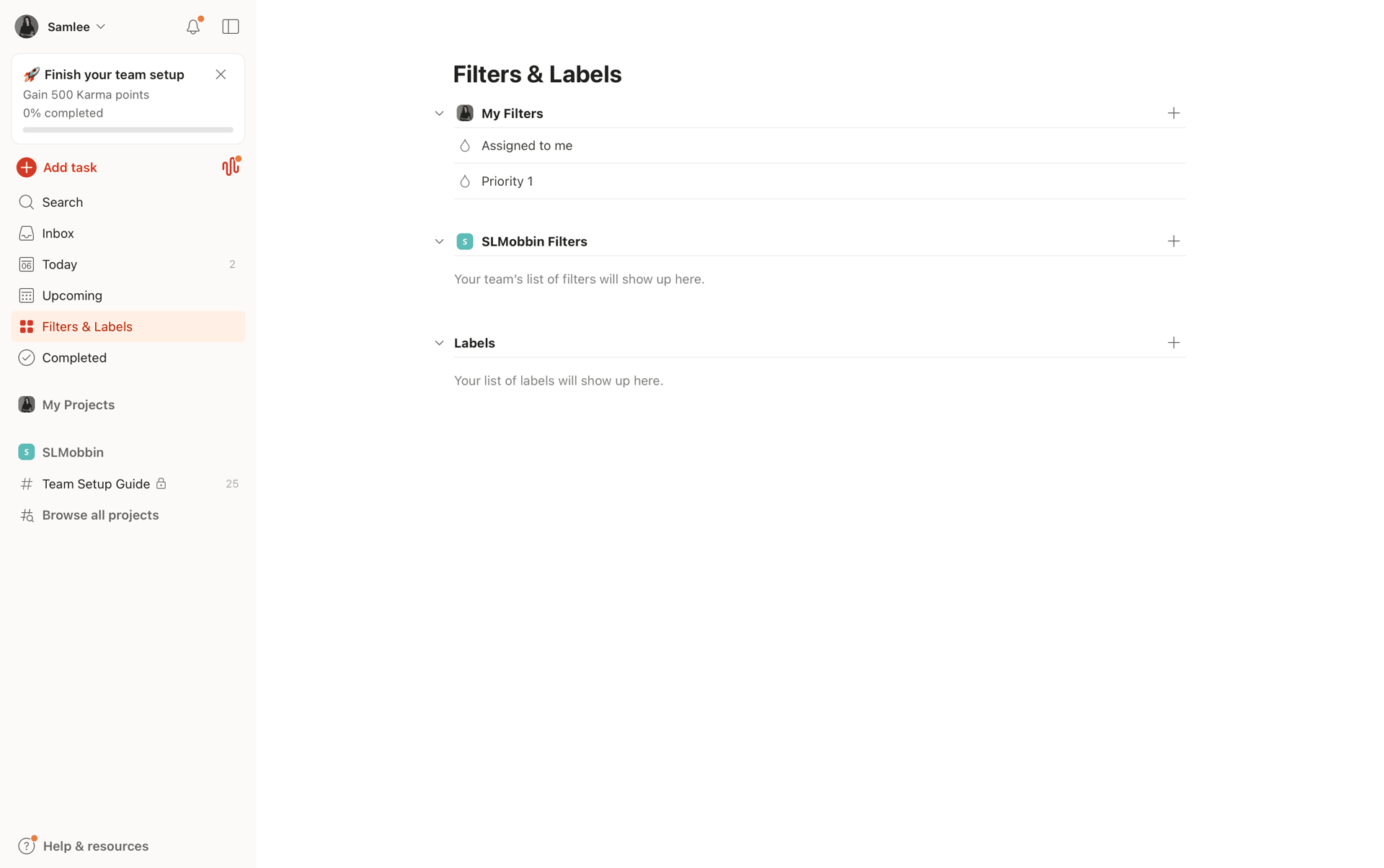 Todoist Web Collaboration interface screenshot 17