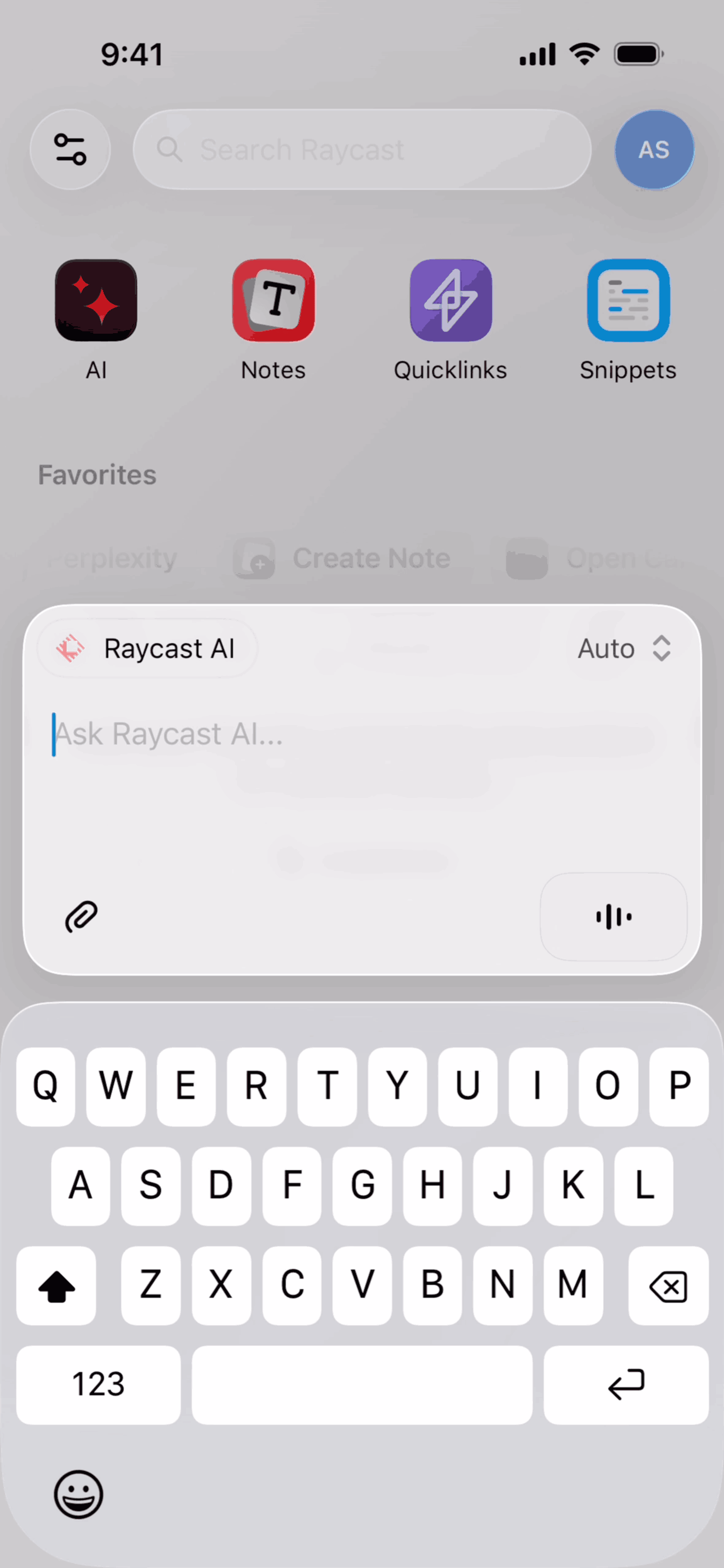 Raycast iOS Productivity interface screenshot 13