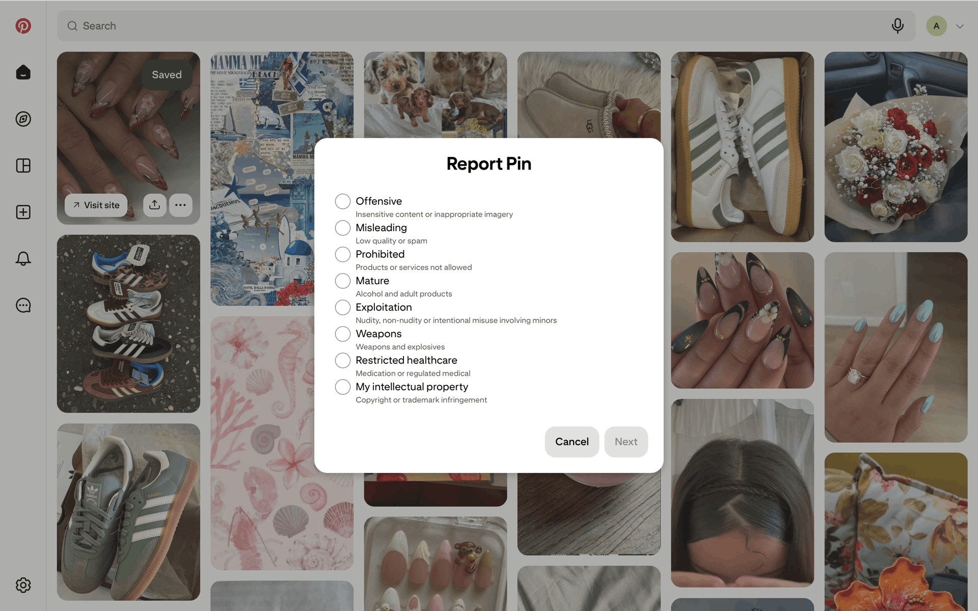 Pinterest Web Photo & Video interface screenshot 14