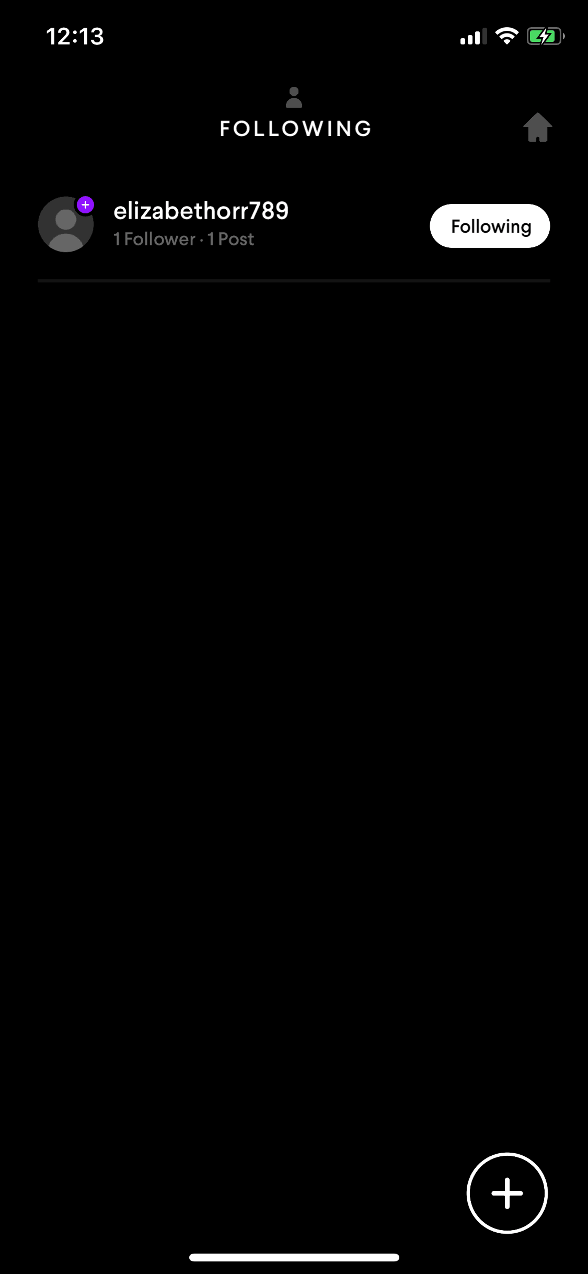 Pacemaker iOS Music & Audio interface screenshot 16