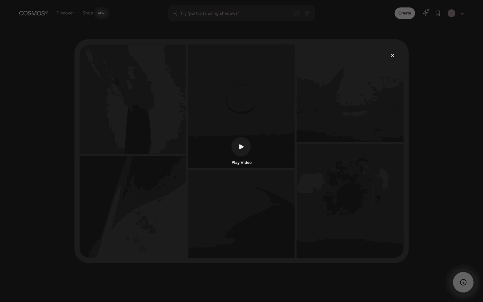 Cosmos Web Photo & Video interface screenshot 20