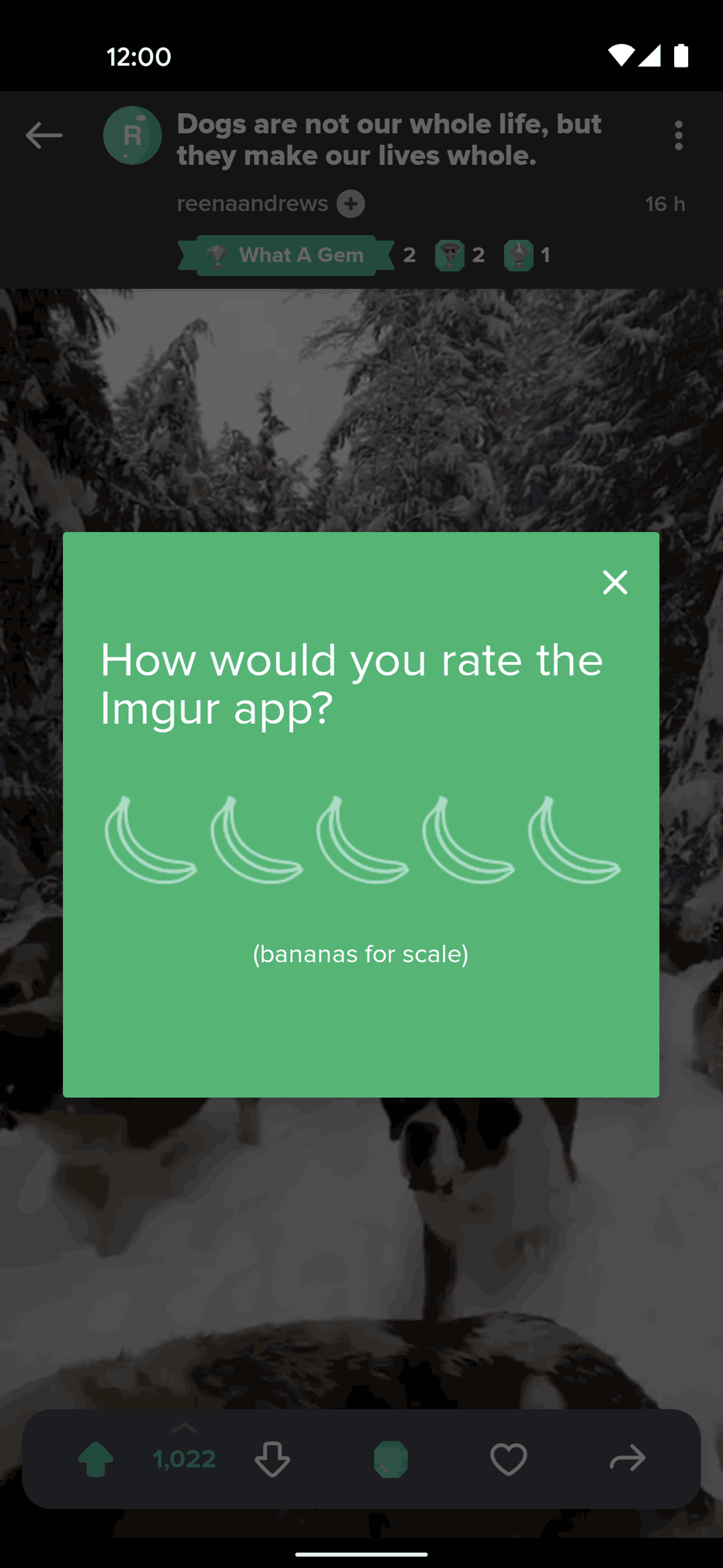 Imgur Android Photo & Video interface screenshot 2
