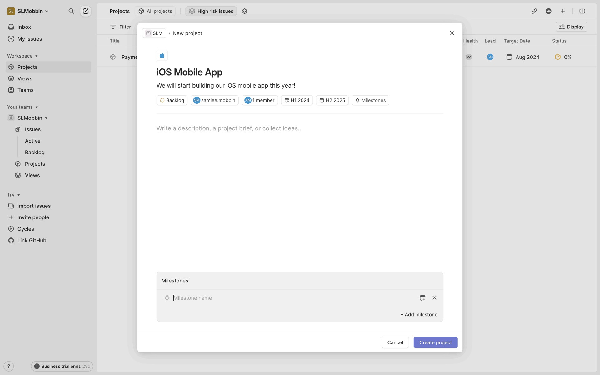 Linear Web Developer Tools interface screenshot 20