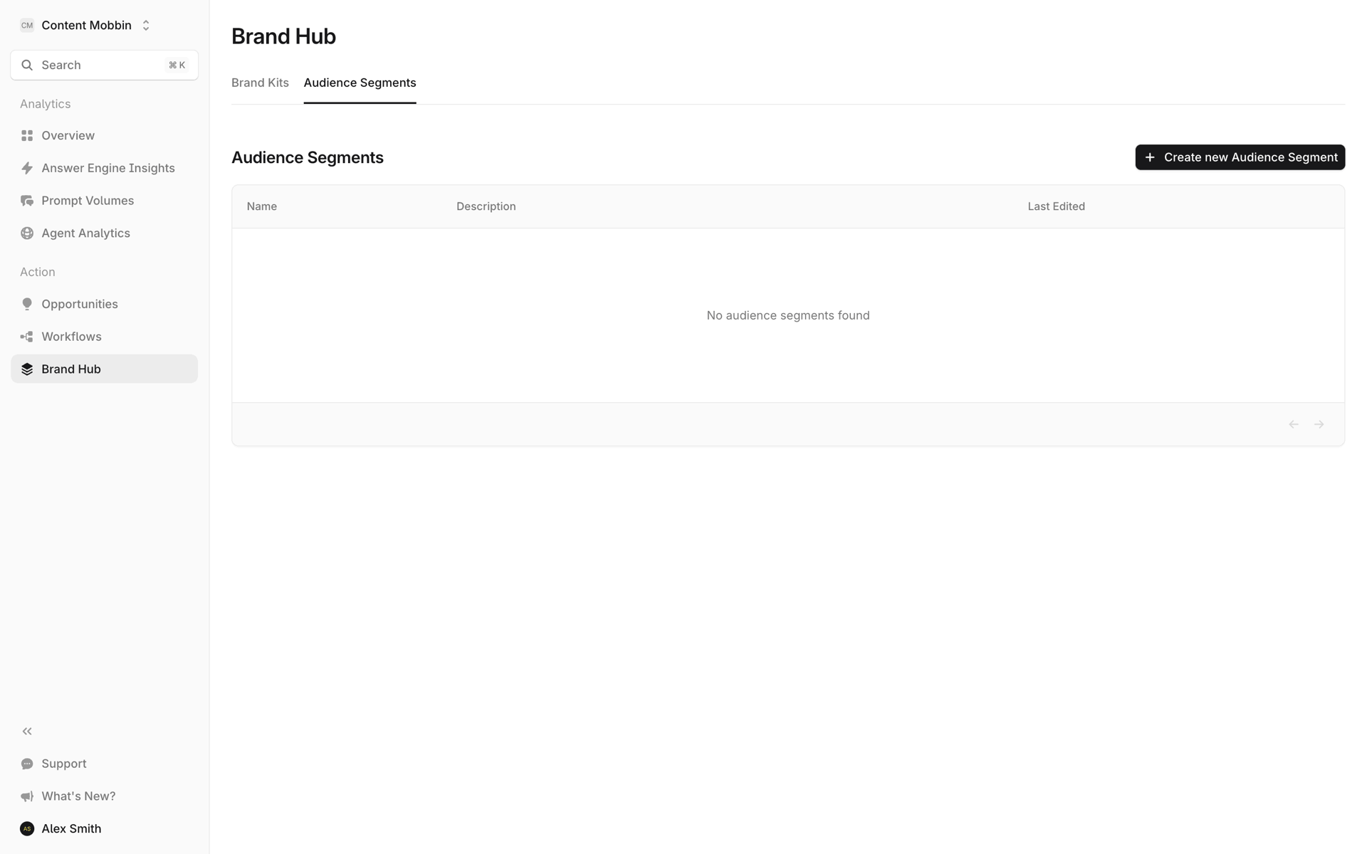 Profound Web AI interface screenshot 1