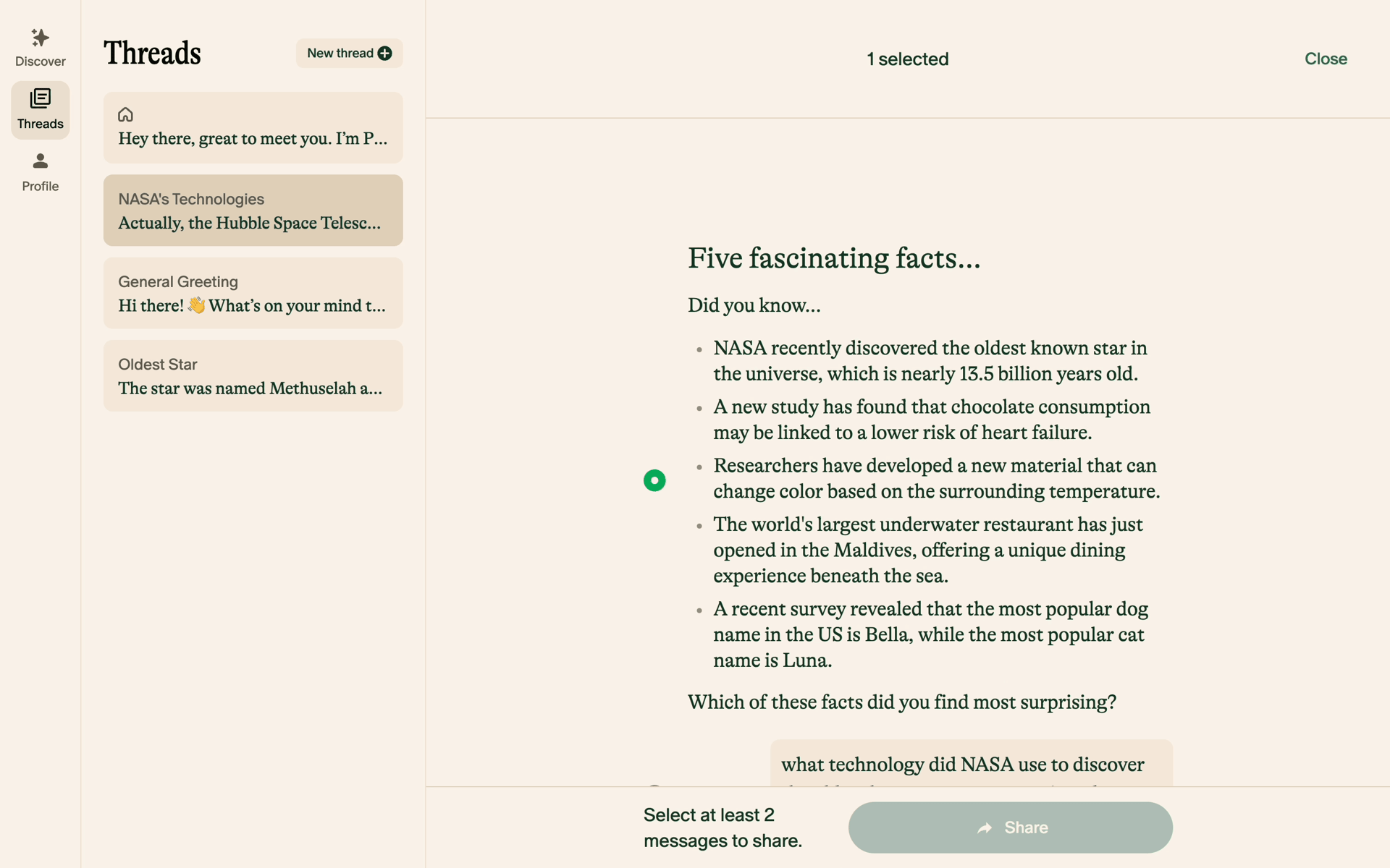 Pi Web AI interface screenshot 9