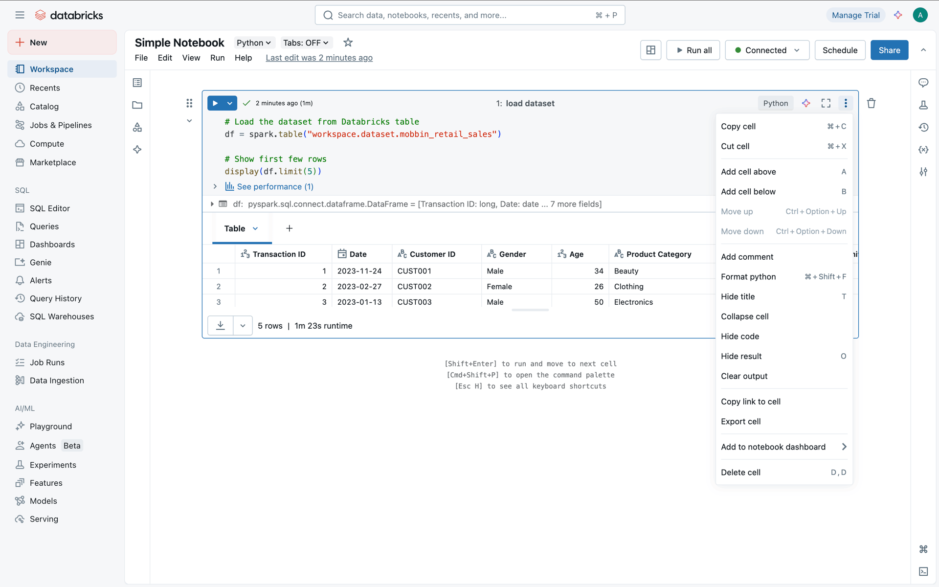 Databricks Web Developer Tools interface screenshot 14