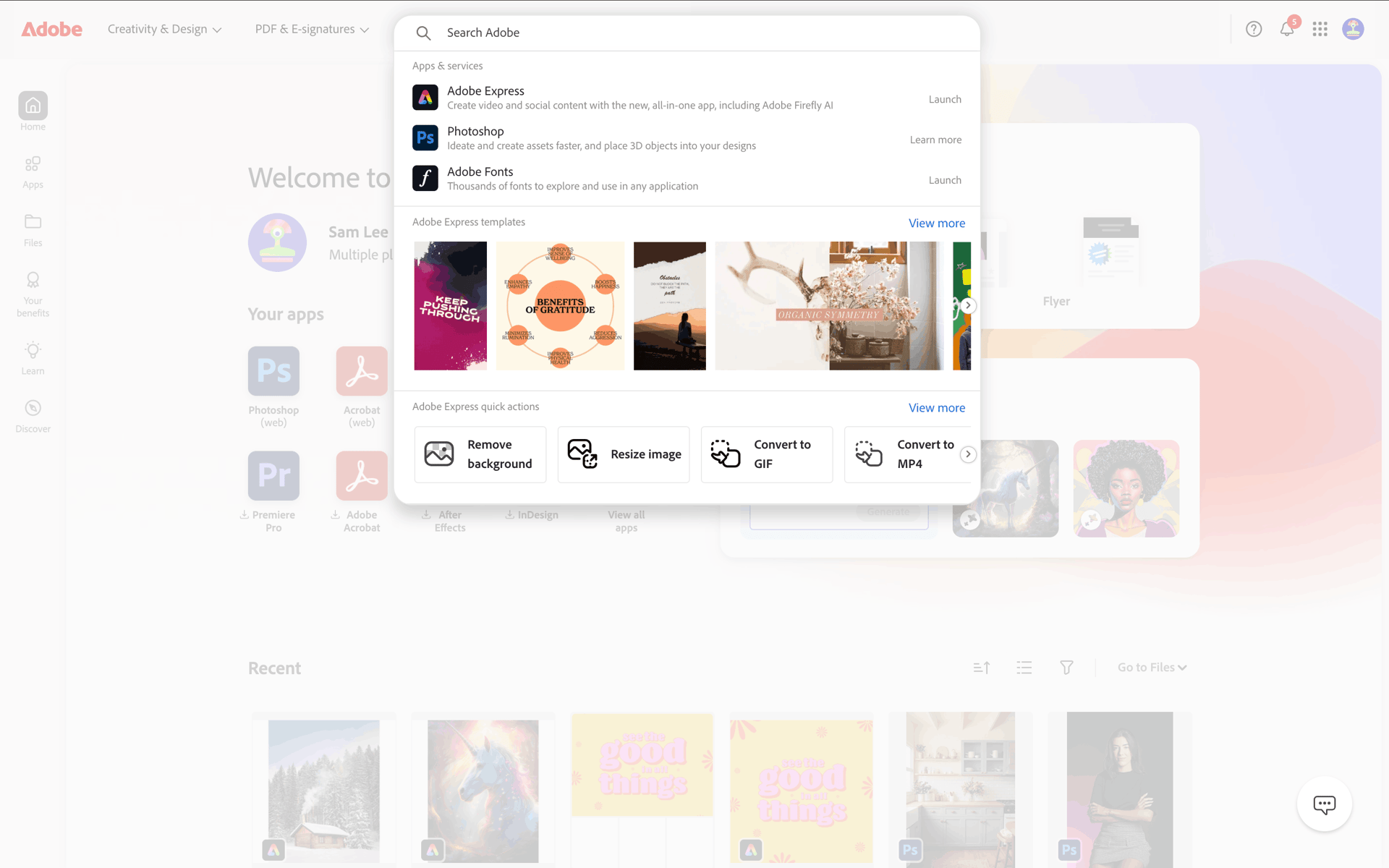 Adobe Web Business interface screenshot 5