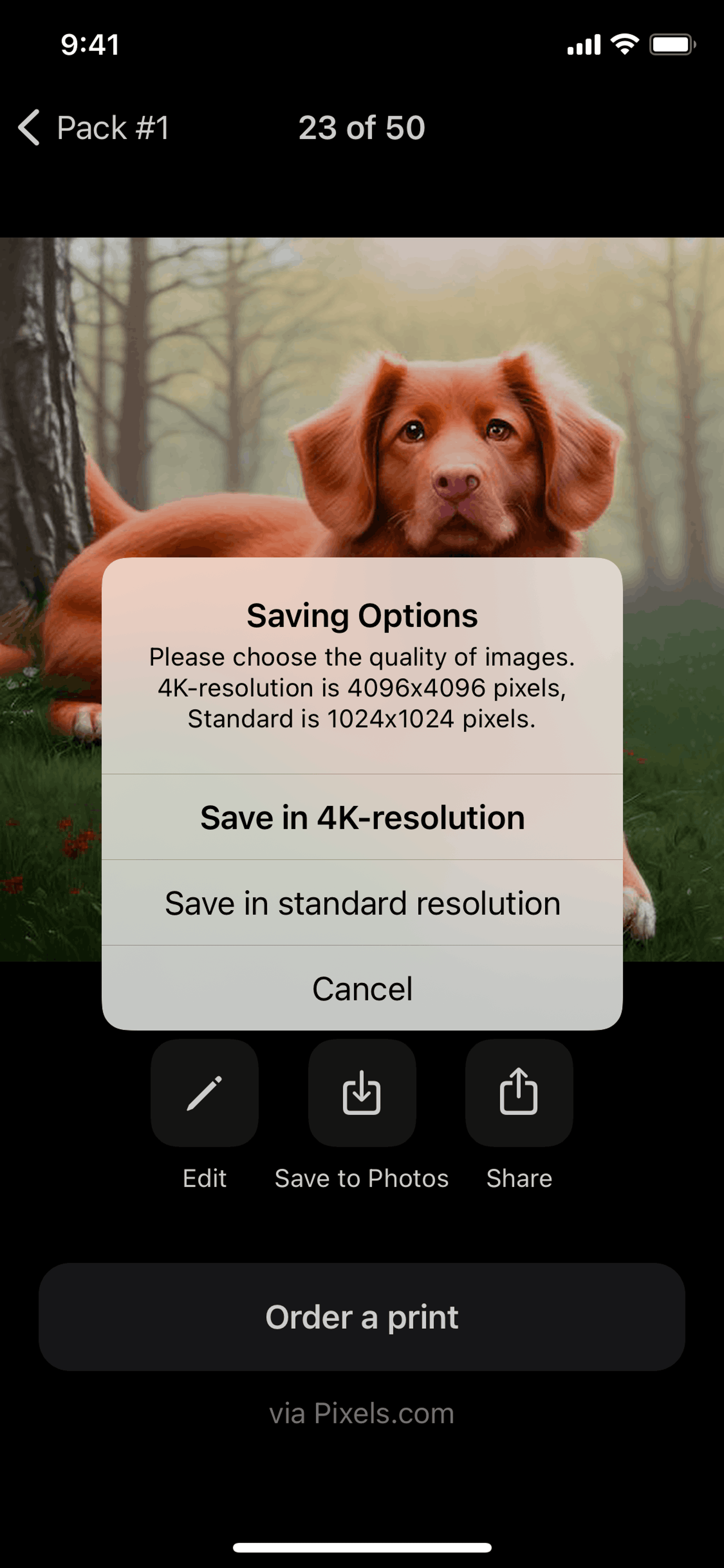 Lensa AI iOS Photo & Video interface screenshot 23