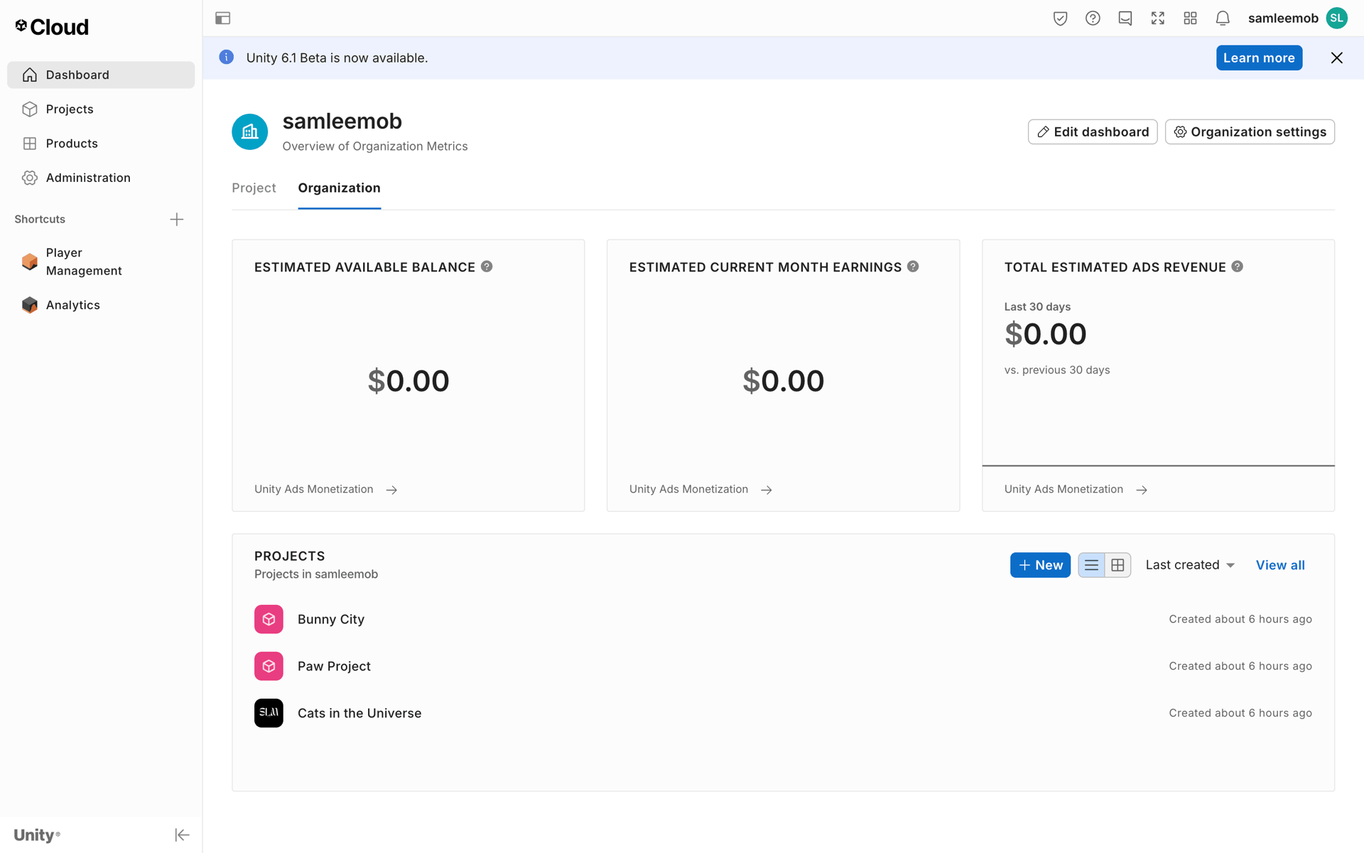 Unity Web Developer Tools interface screenshot 17