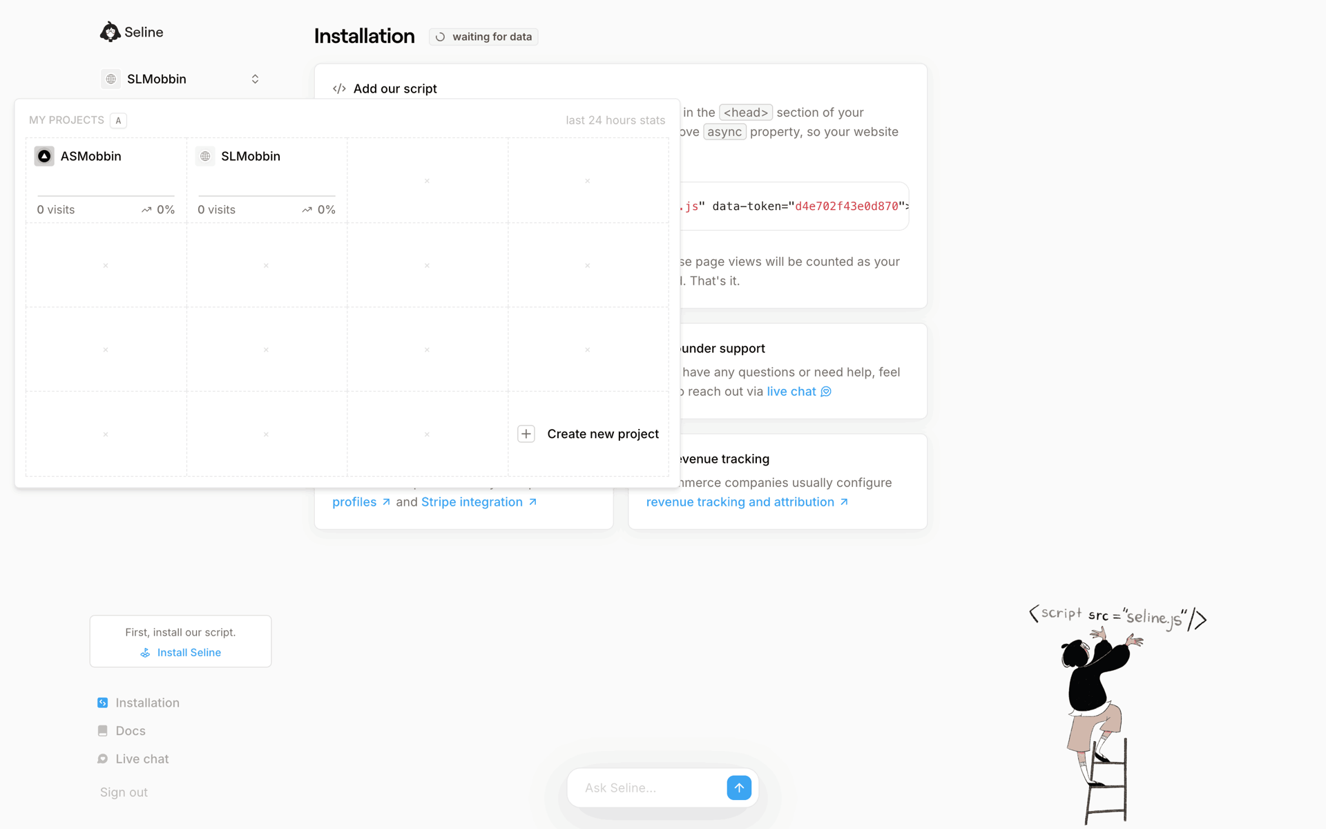 Seline Web Developer Tools interface screenshot 18