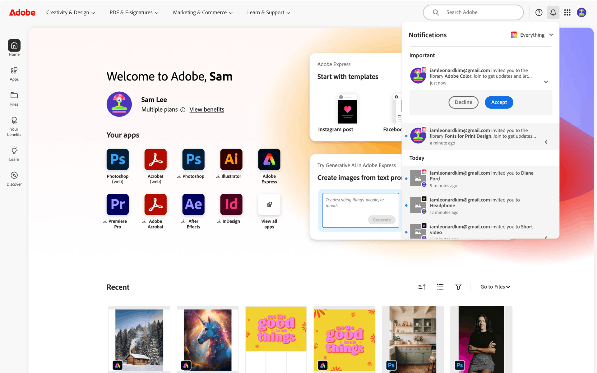 Adobe Web Business interface screenshot 8