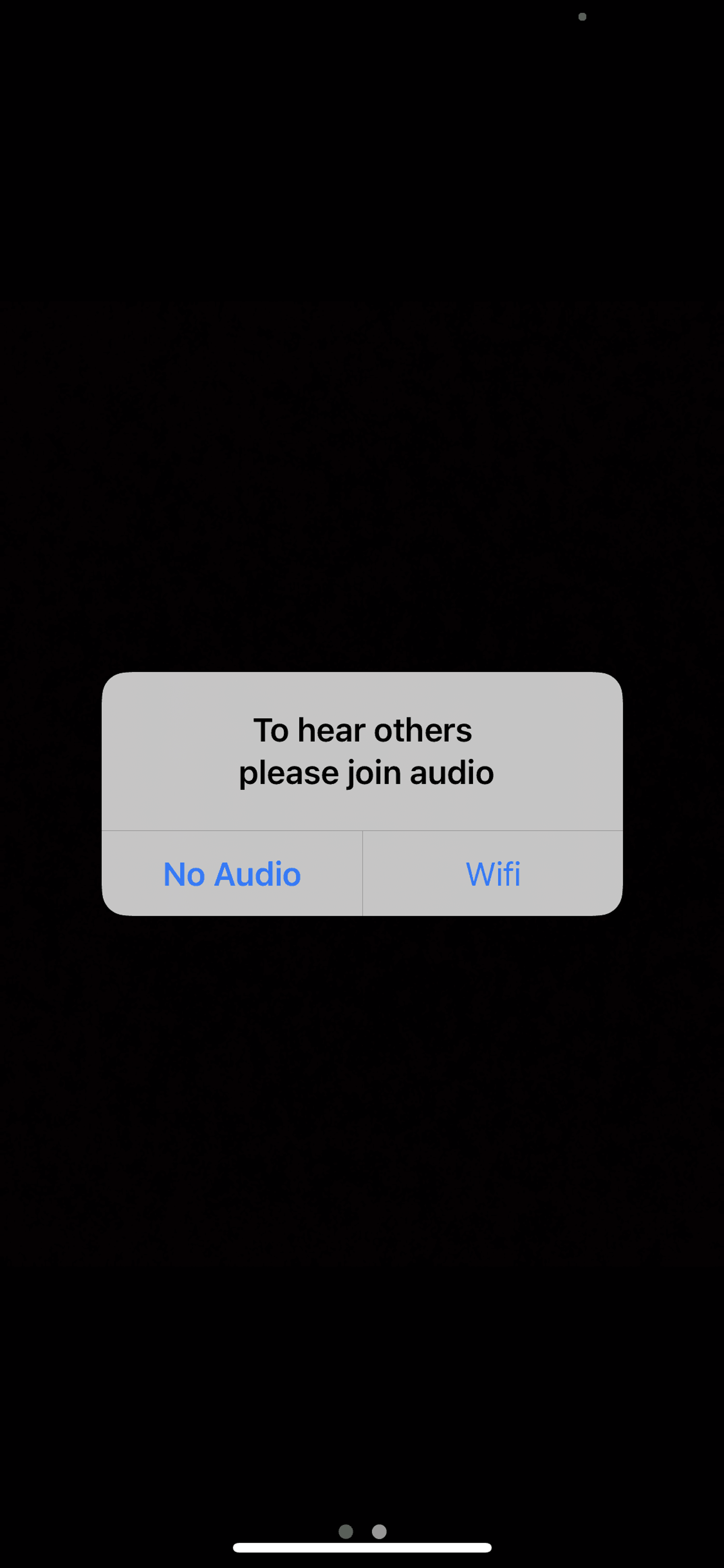 Zoom iOS Business interface screenshot 13