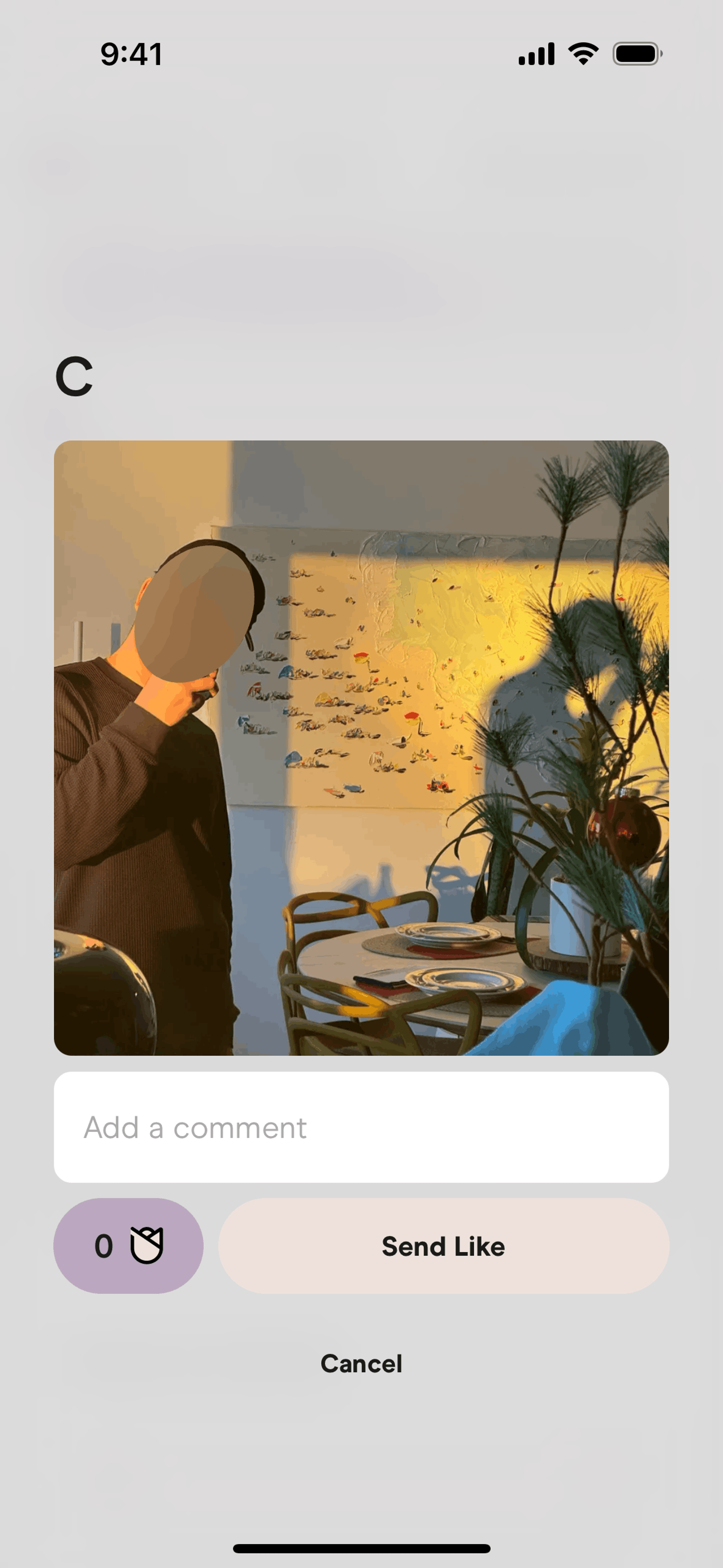 Hinge iOS Lifestyle interface screenshot 4