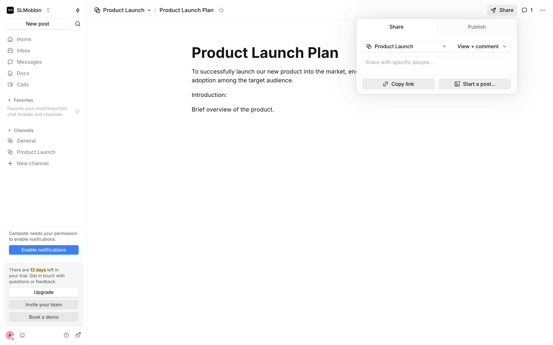 Campsite Web Productivity interface screenshot 13