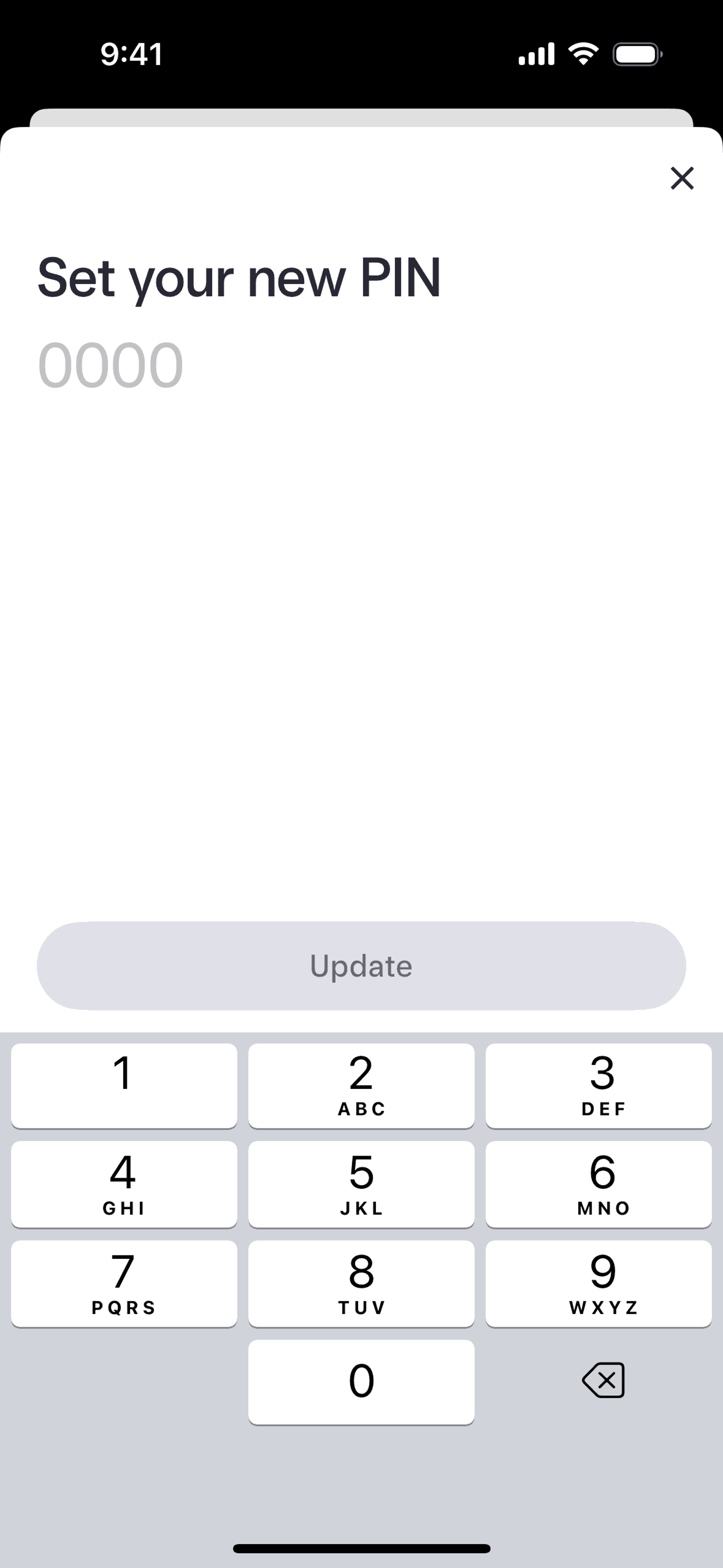 Mercury iOS Finance interface screenshot 24