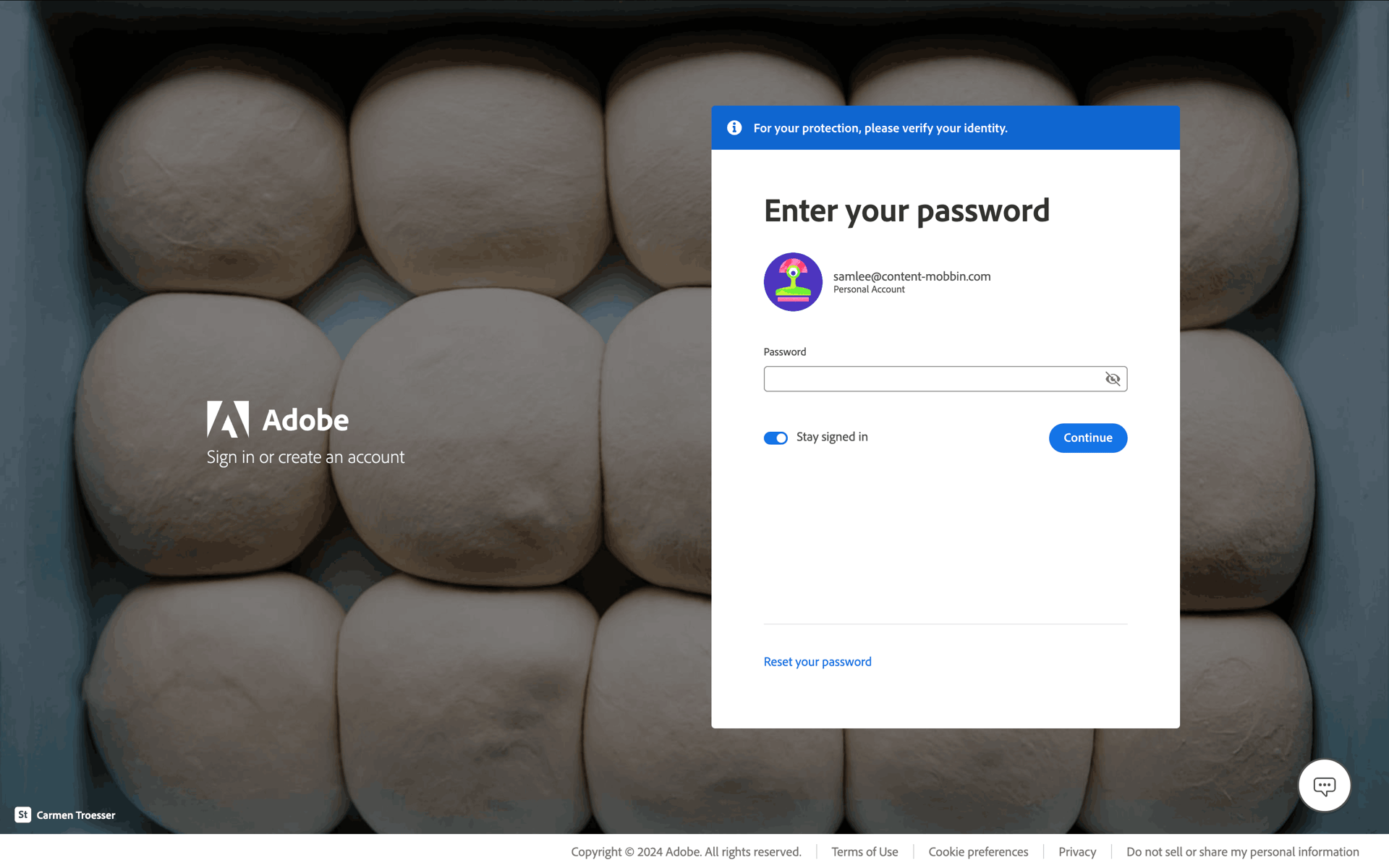 Adobe Web Business interface screenshot 13