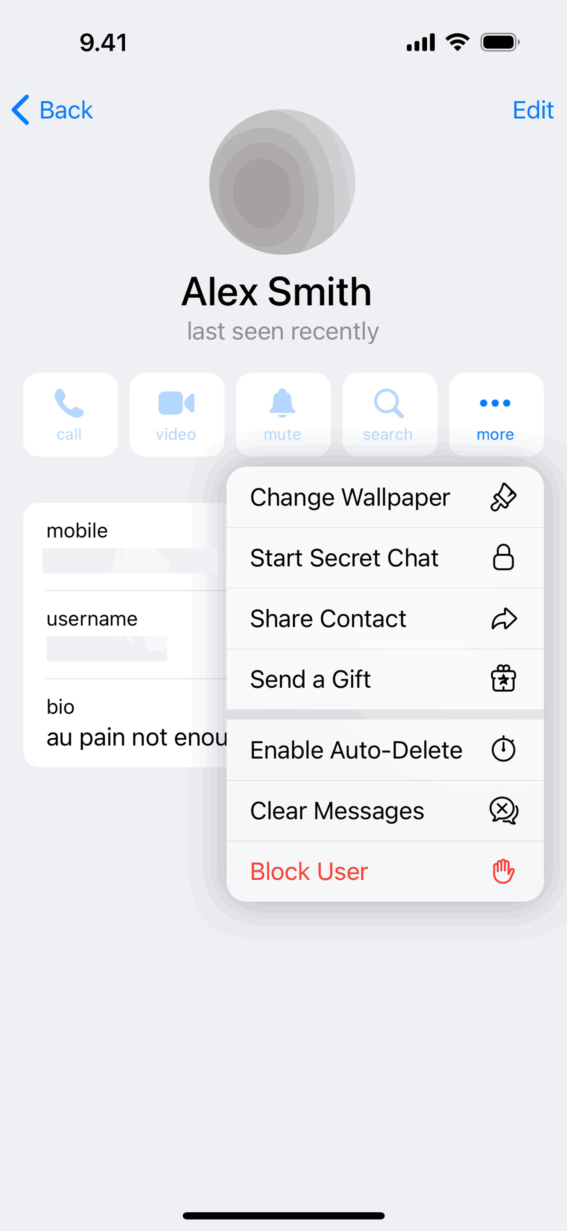 Telegram iOS Social Networking interface screenshot 14