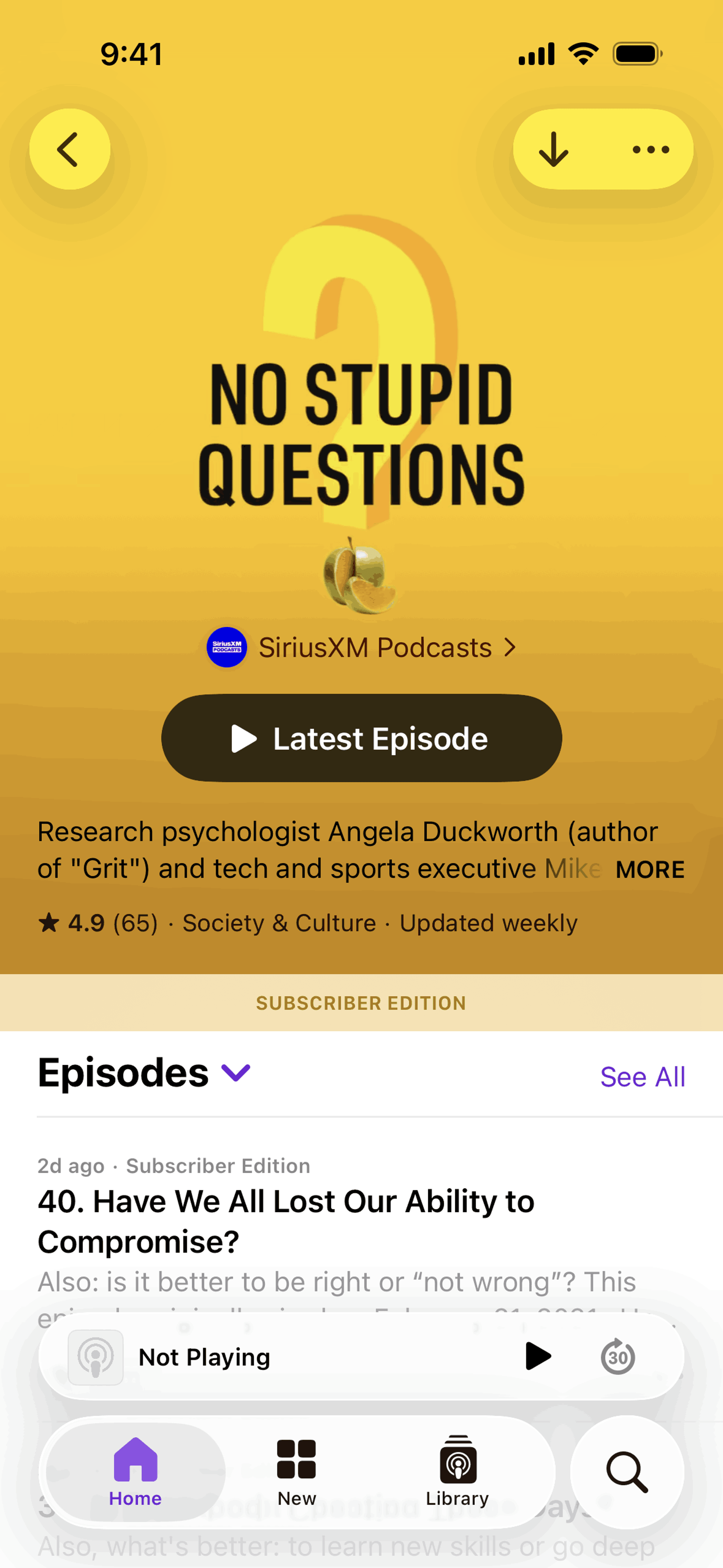 Apple Podcasts iOS Music & Audio interface screenshot 10