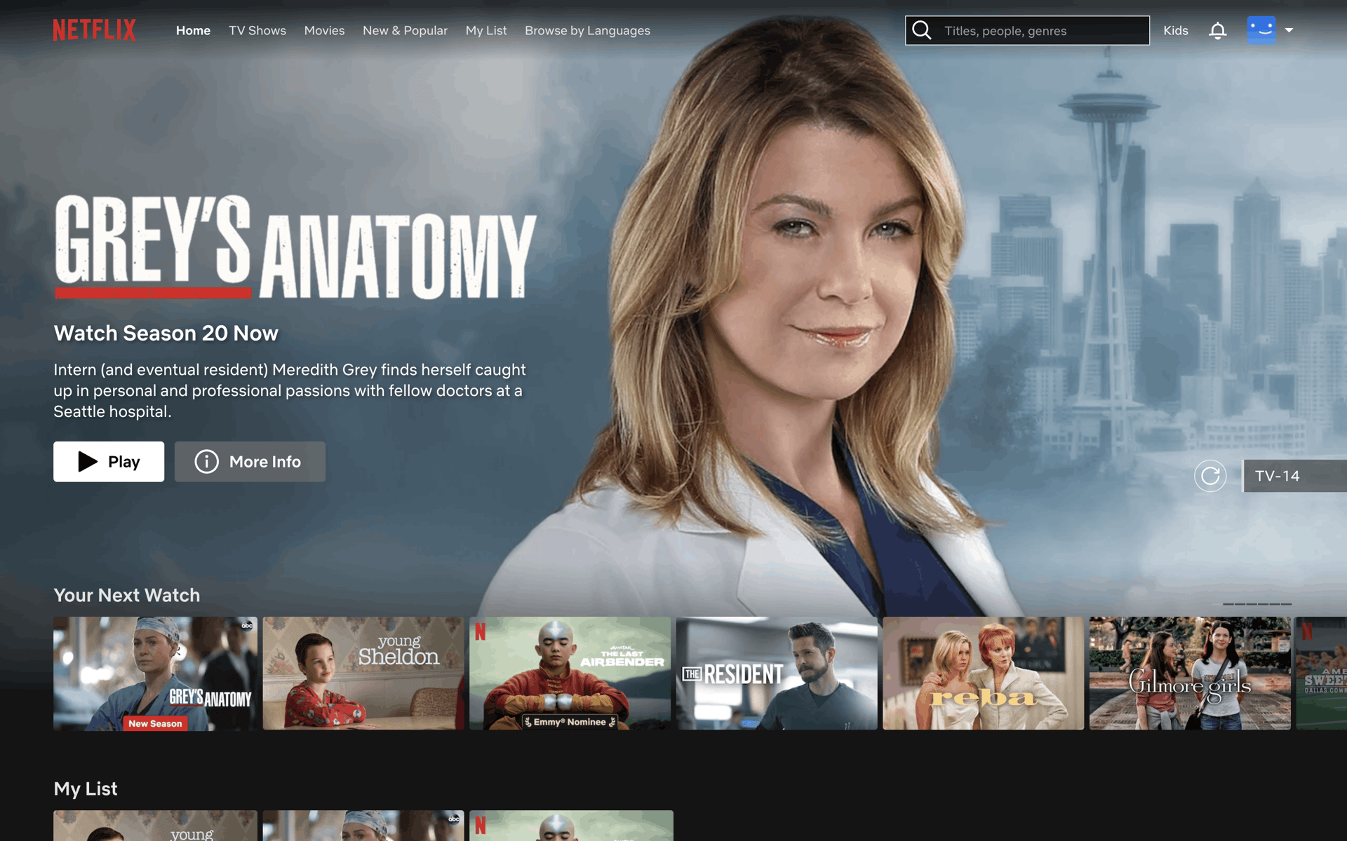 Netflix Web Entertainment interface screenshot 11