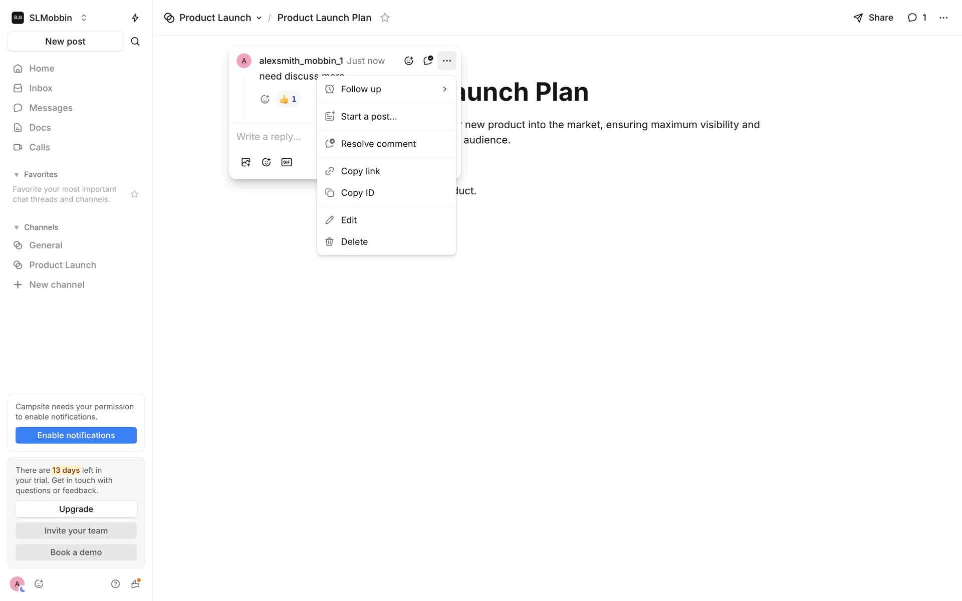 Campsite Web Productivity interface screenshot 9
