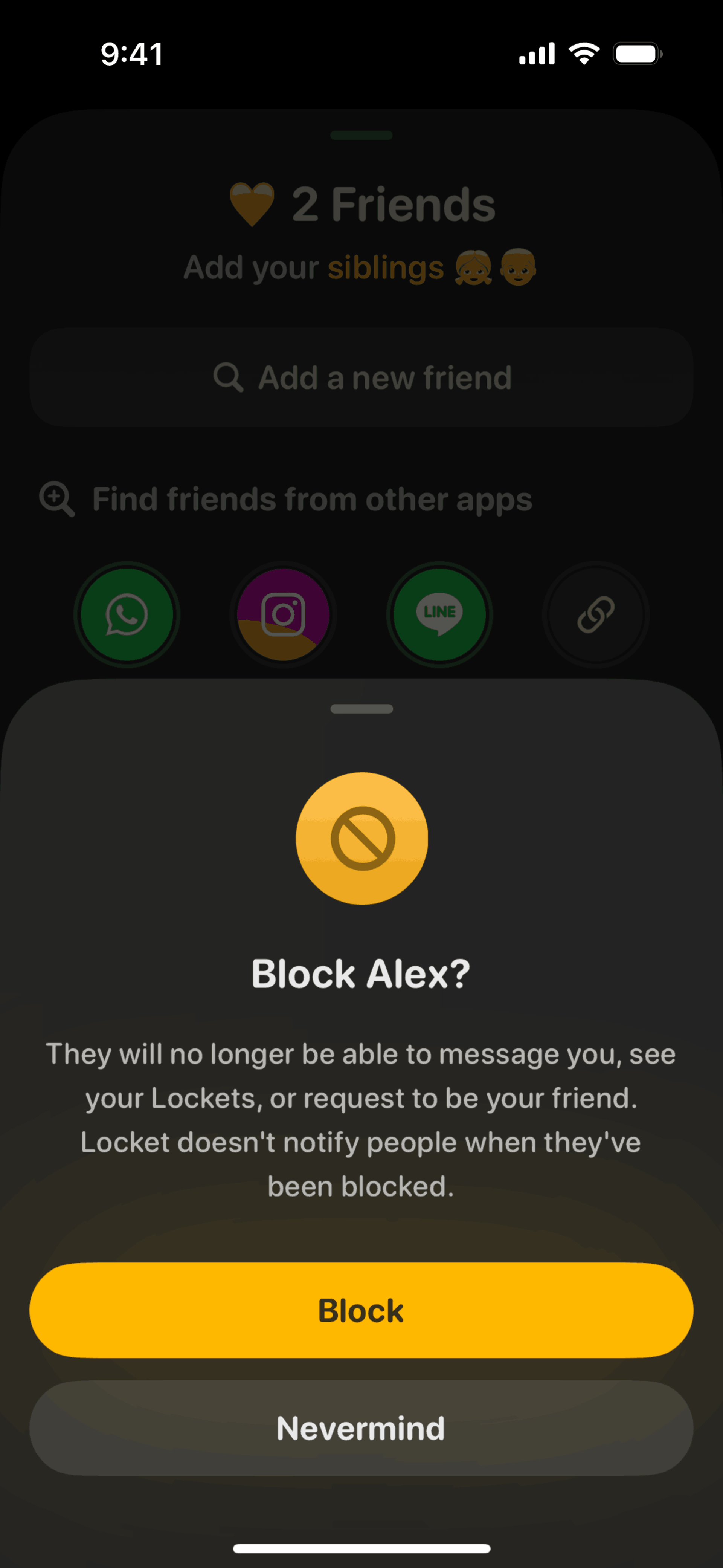 Locket iOS Photo & Video interface screenshot 5