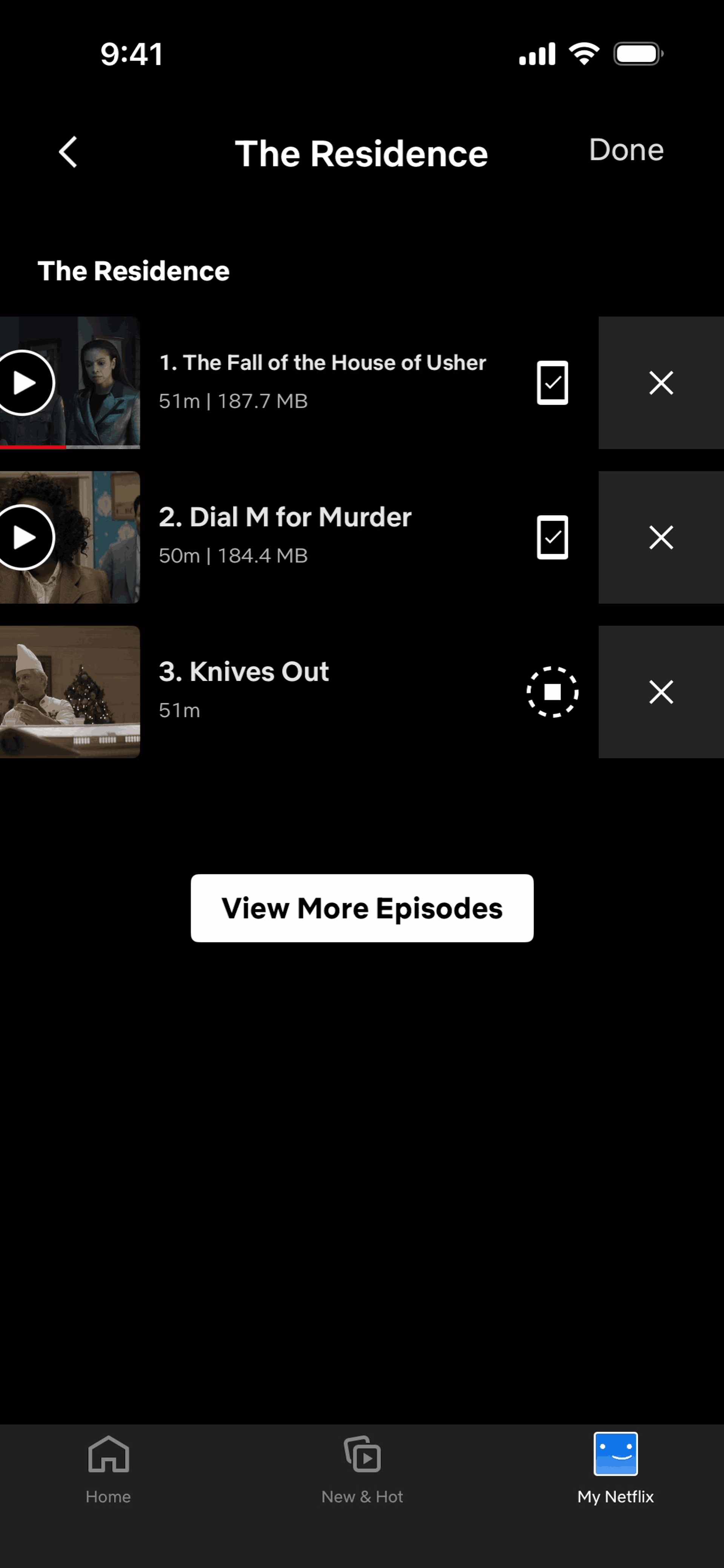 Netflix iOS Entertainment interface screenshot 24
