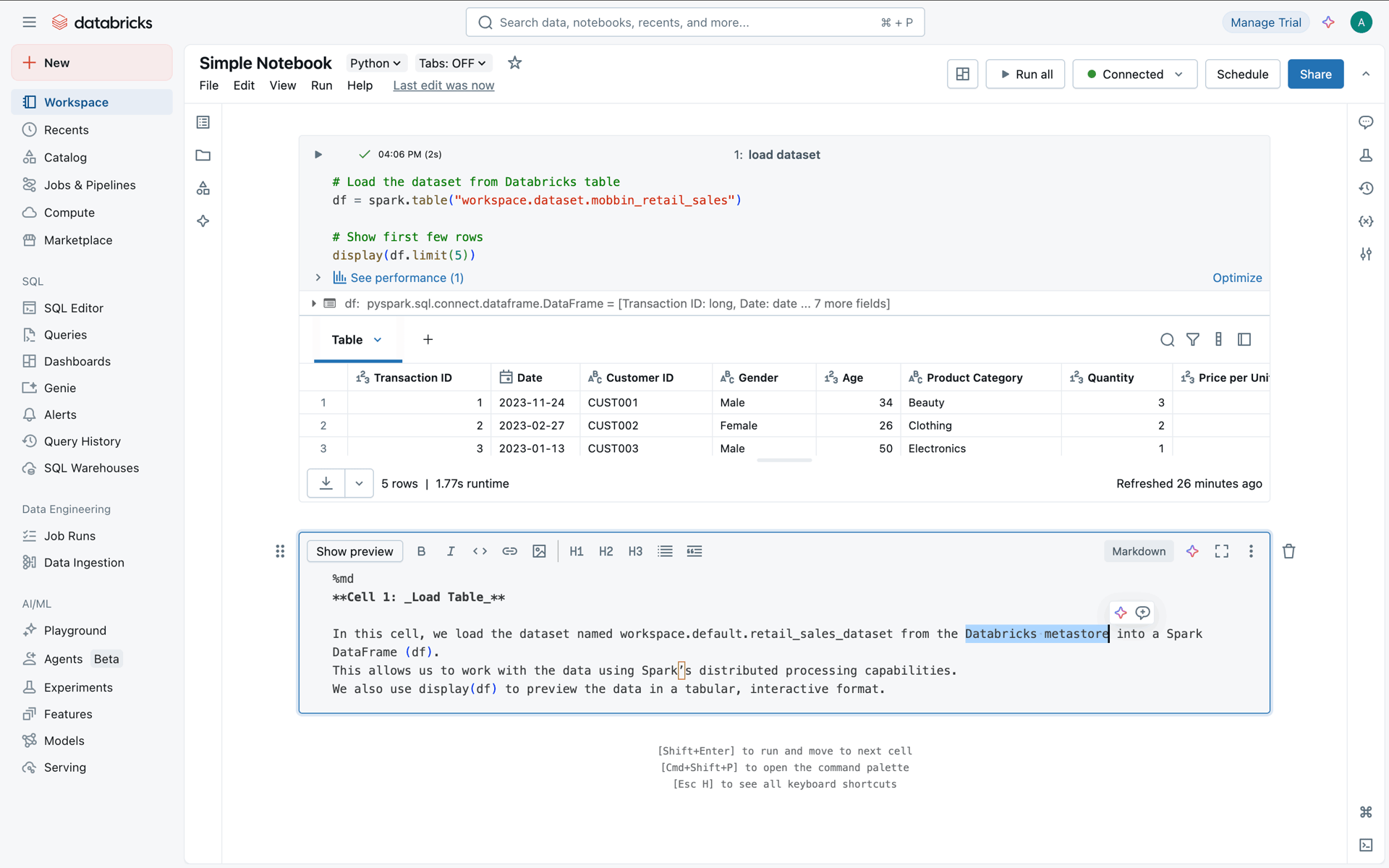 Databricks Web Developer Tools interface screenshot 21