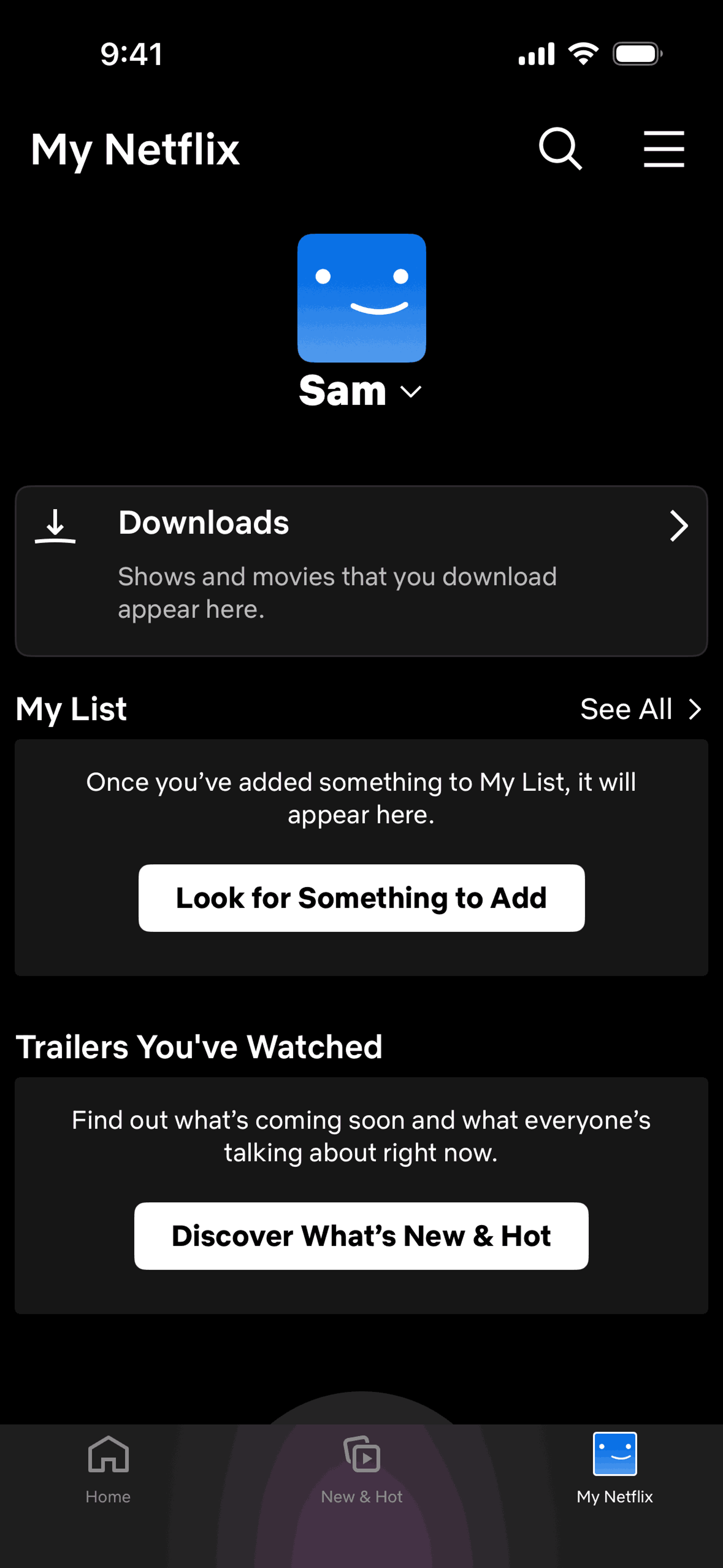Netflix iOS Entertainment interface screenshot 8