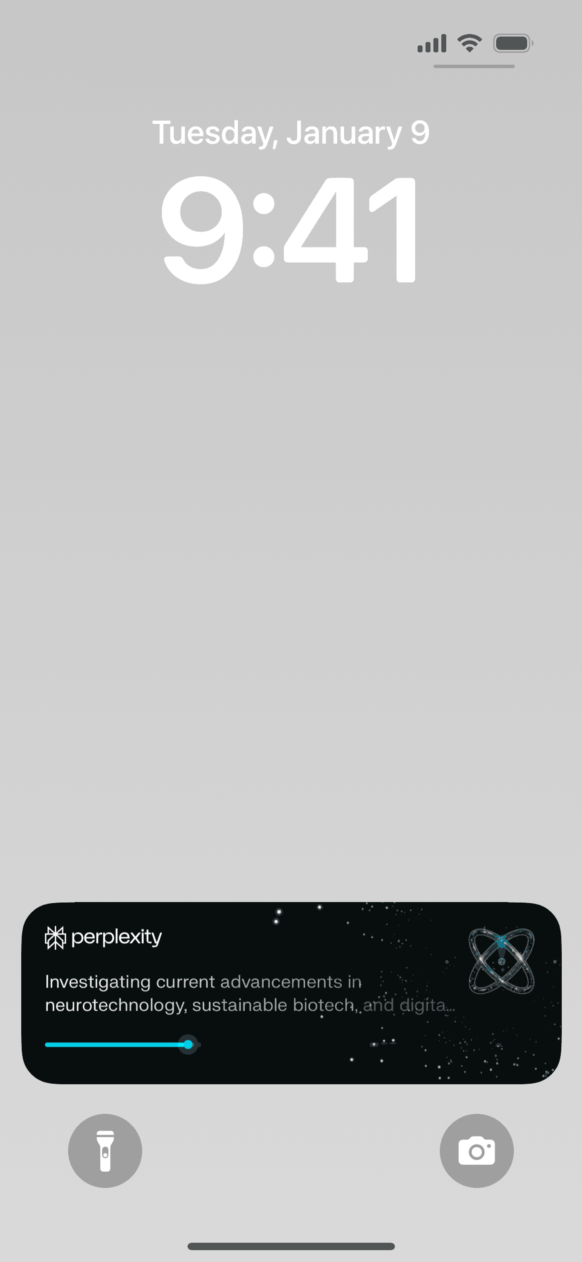 Perplexity iOS AI interface screenshot 11