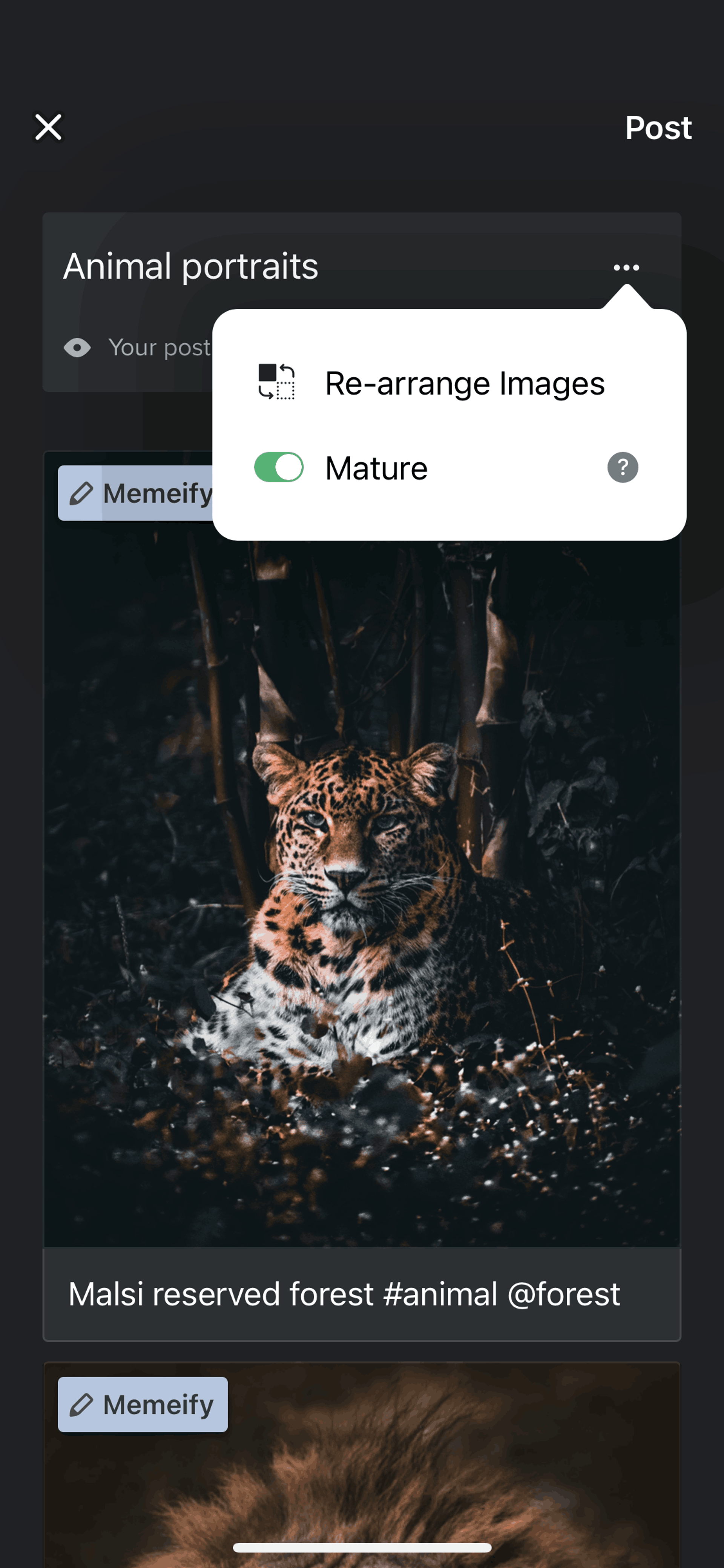 Imgur iOS Photo & Video interface screenshot 20