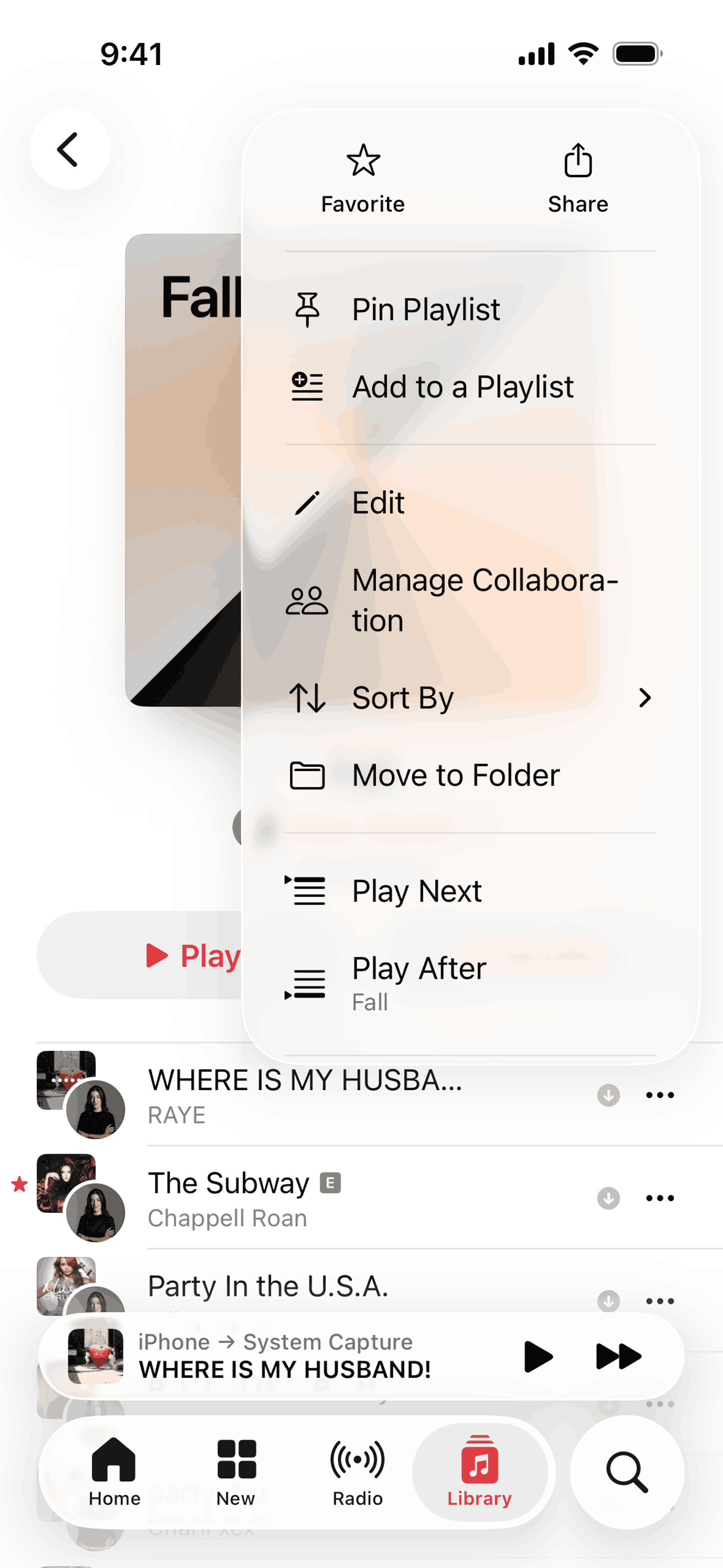 Apple Music iOS Music & Audio interface screenshot 18