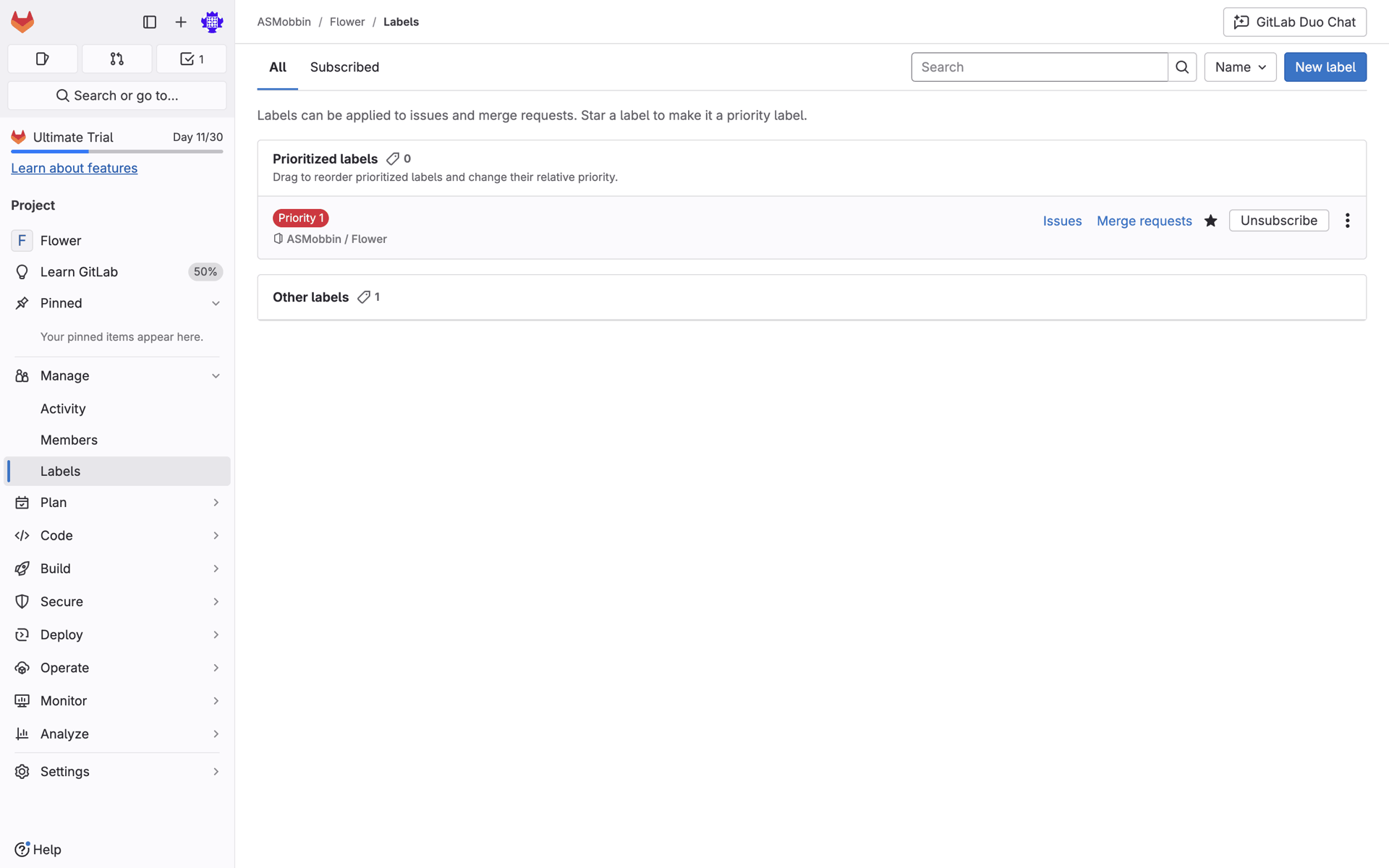 GitLab Web Developer Tools interface screenshot 21