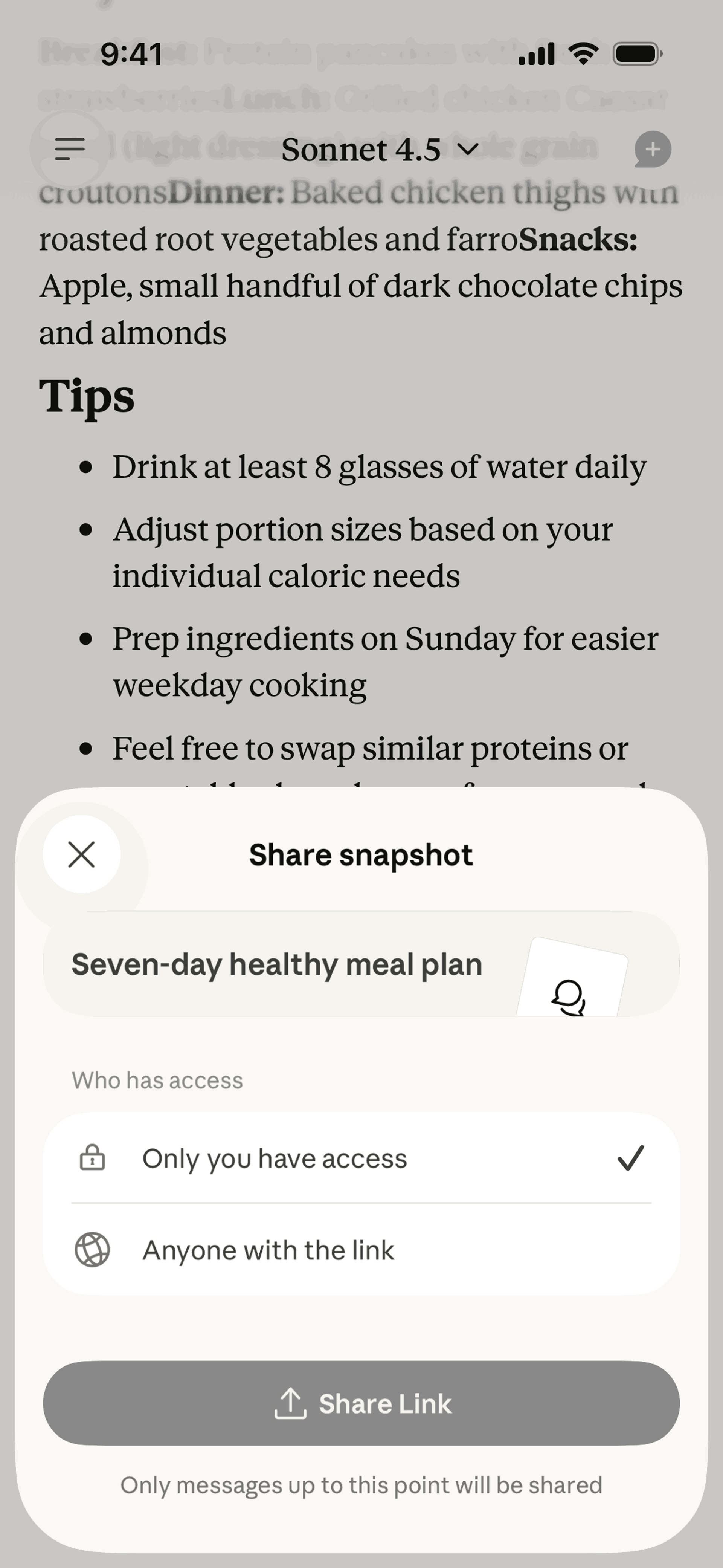Claude iOS AI interface screenshot 9