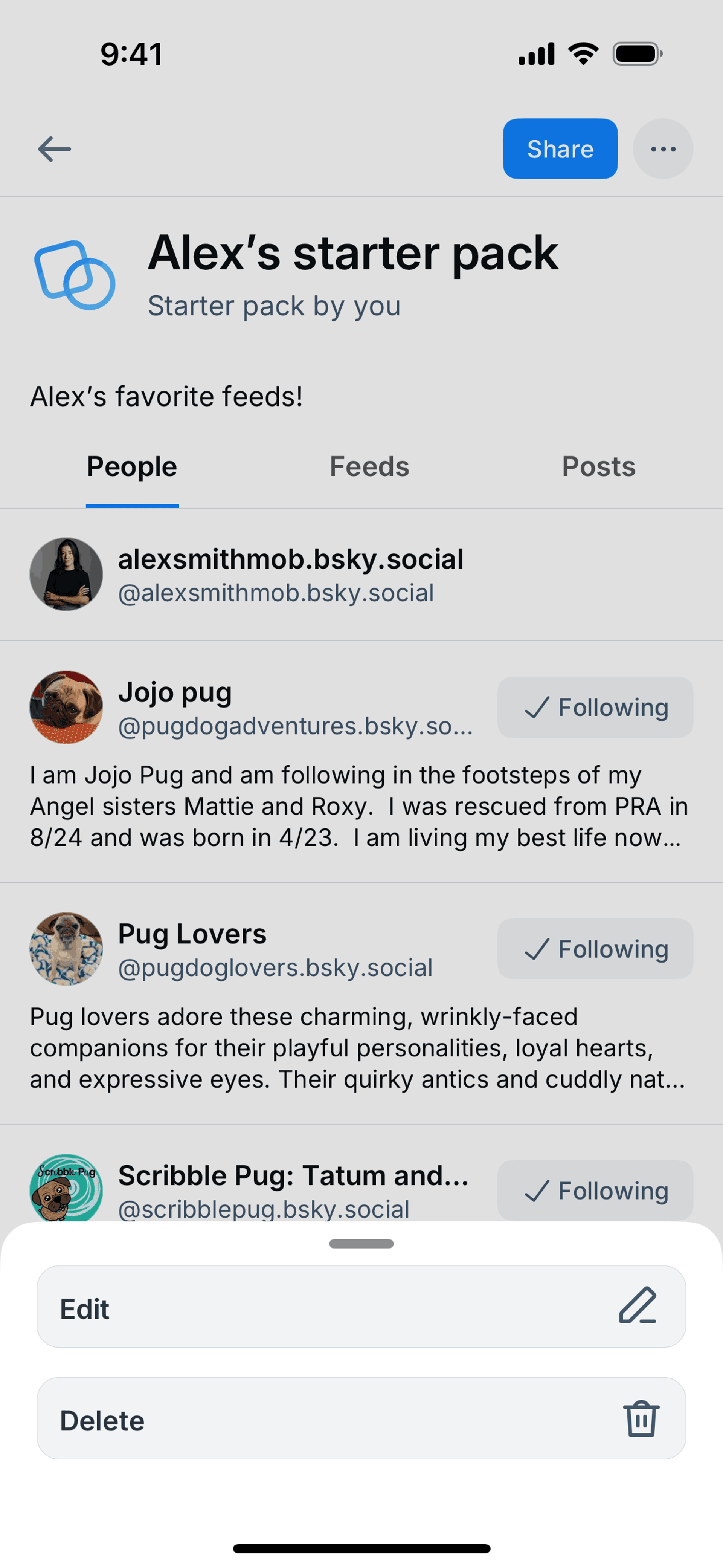 Bluesky Social iOS Social Networking interface screenshot 21