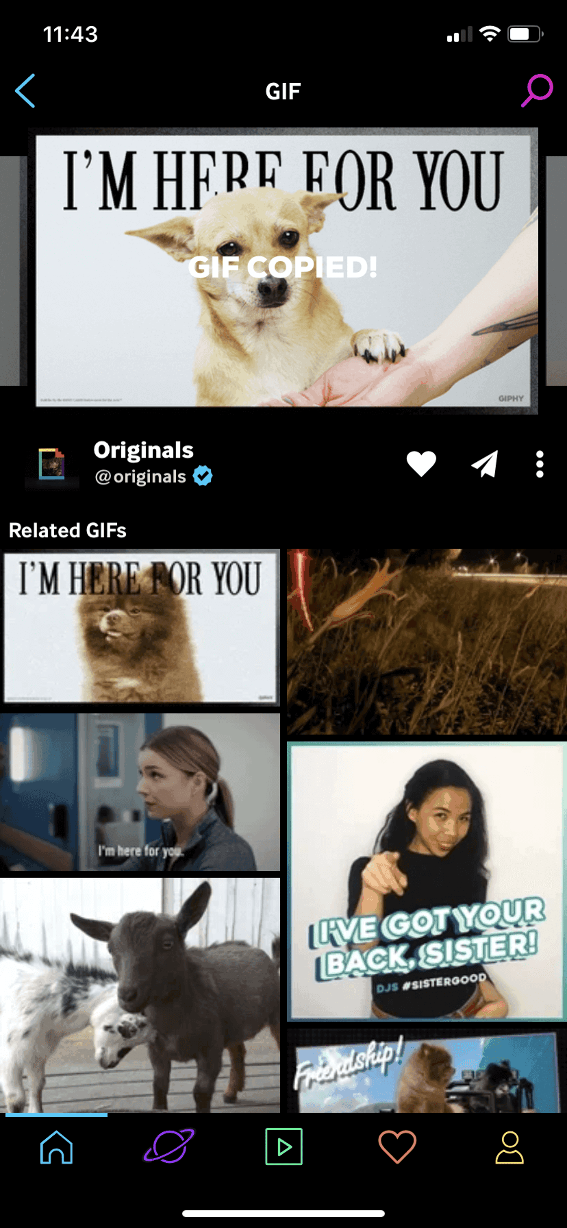 GIPHY iOS Photo & Video interface screenshot 12