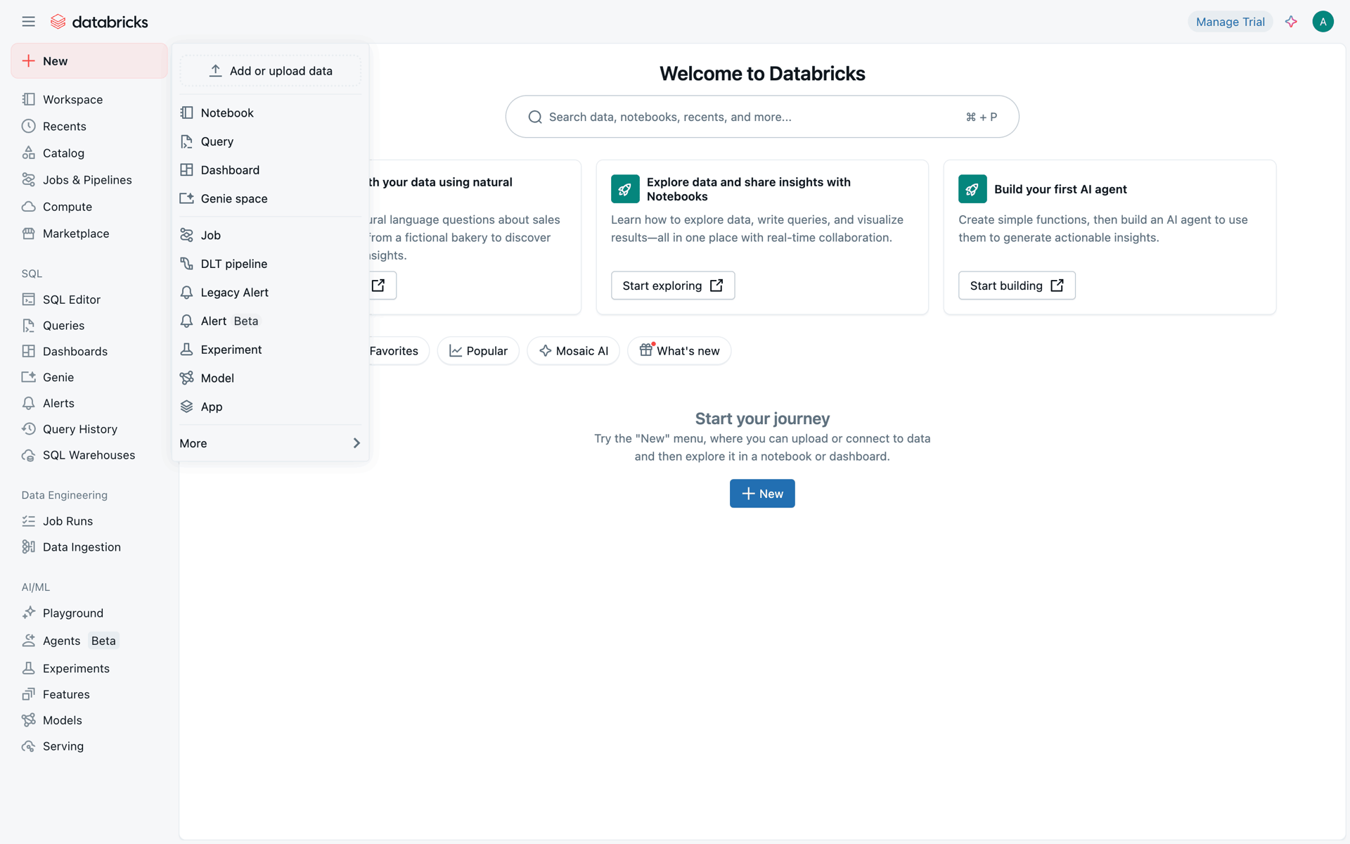 Databricks Web Developer Tools interface screenshot 12