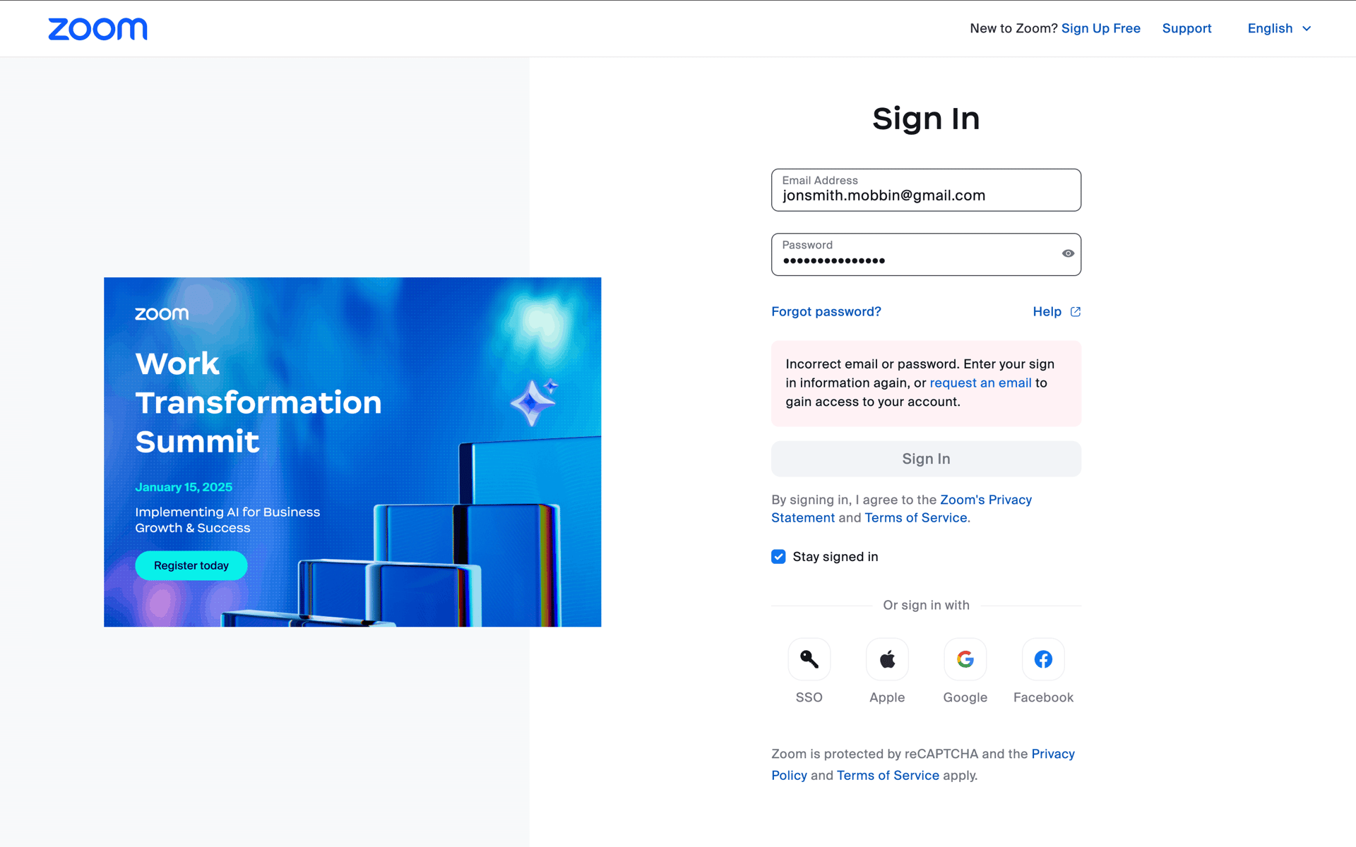 Zoom Web Business interface screenshot 17