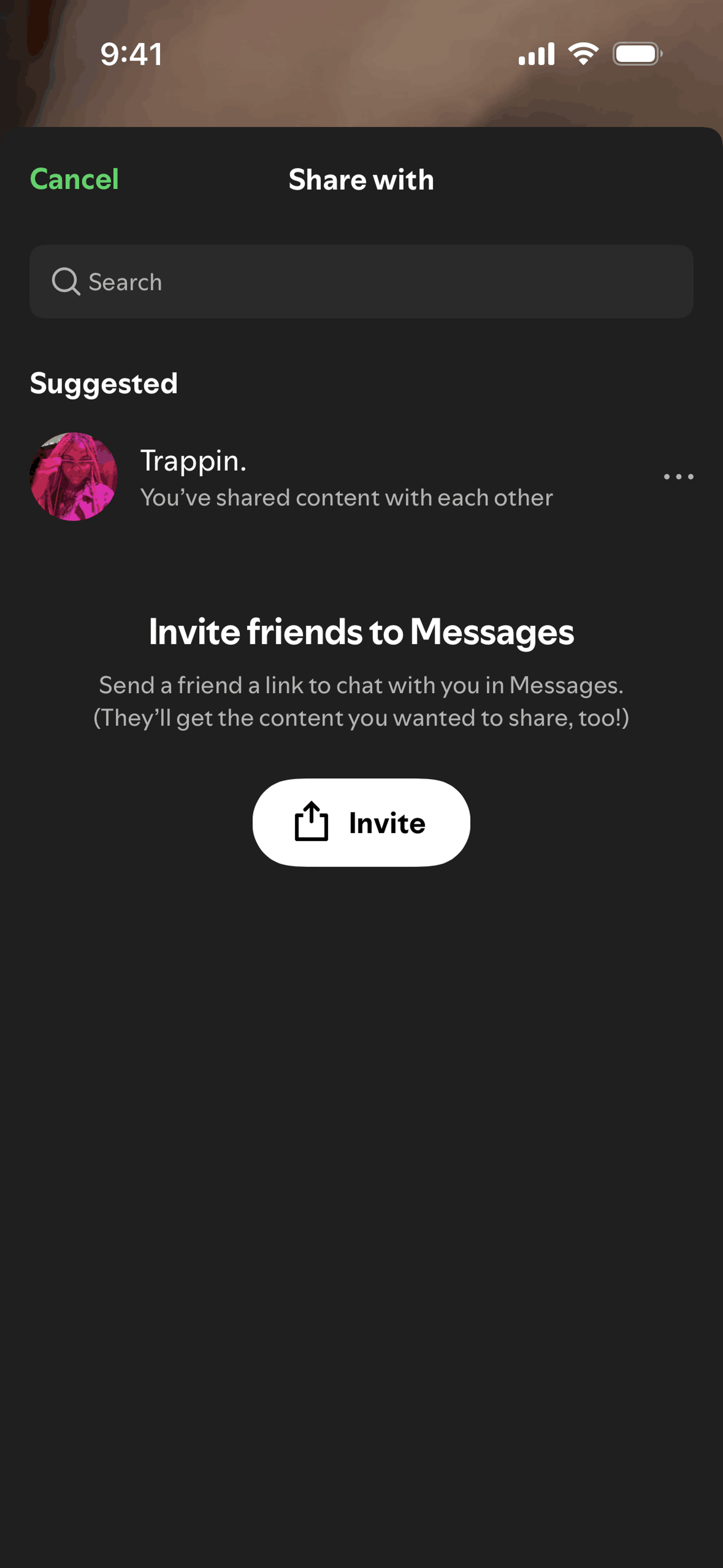 Spotify iOS Music & Audio interface screenshot 12