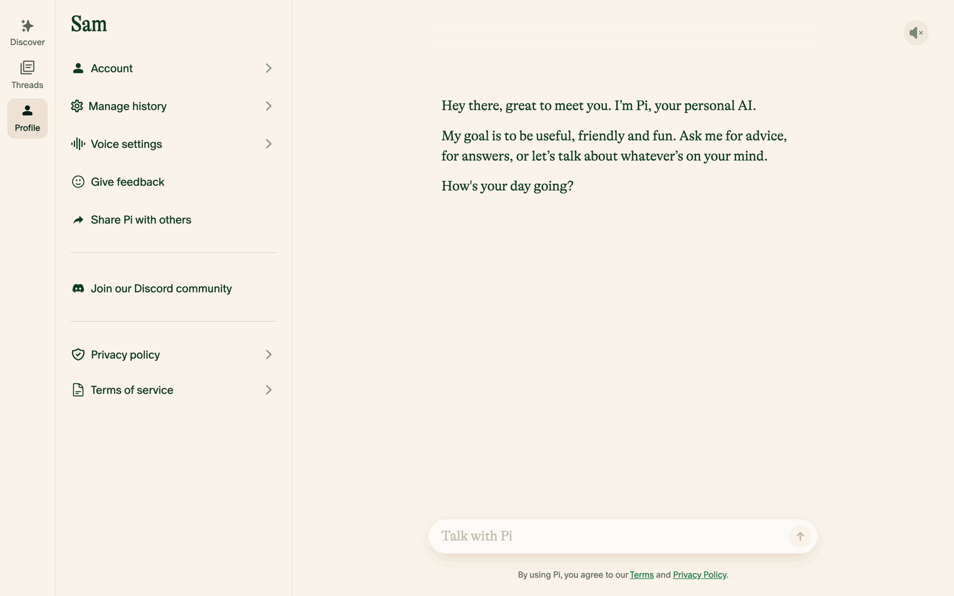Pi Web AI interface screenshot 10