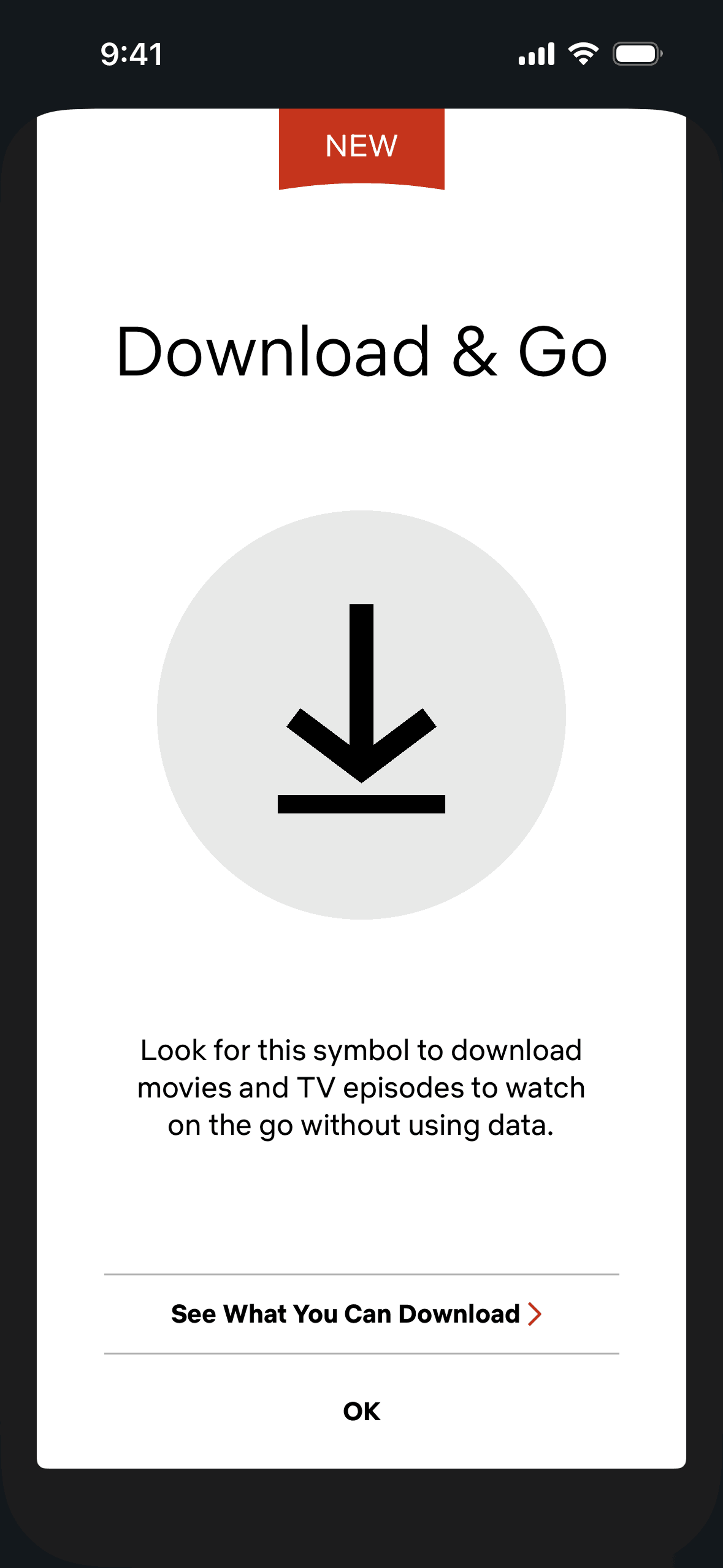 Netflix iOS Entertainment interface screenshot 16