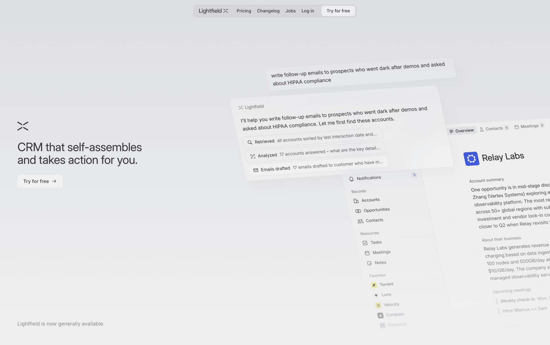 Lightfield Web Business interface screenshot 1