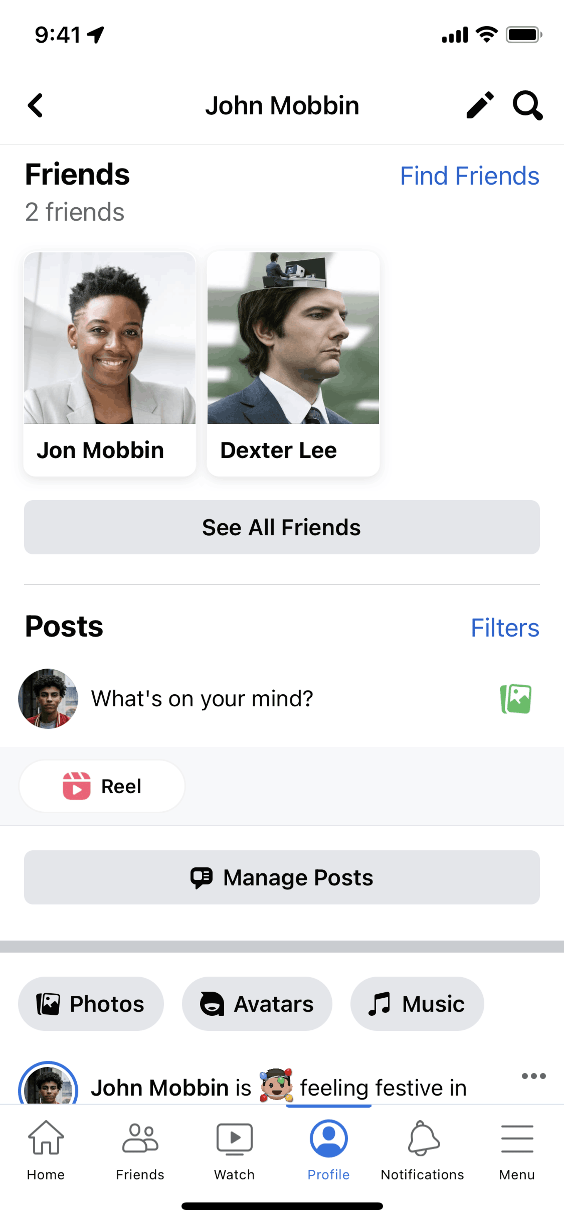 Facebook iOS Social Networking interface screenshot 21