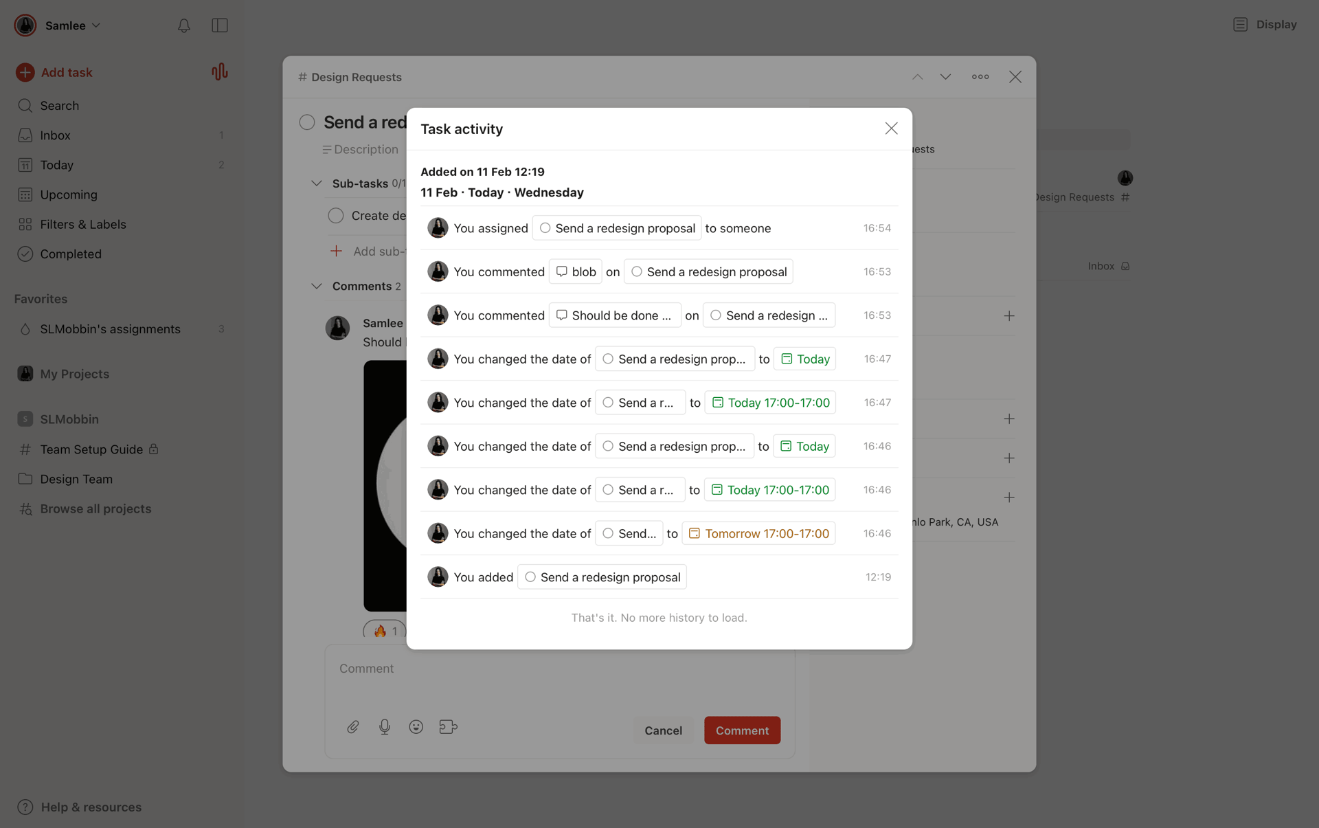 Todoist Web Collaboration interface screenshot 8