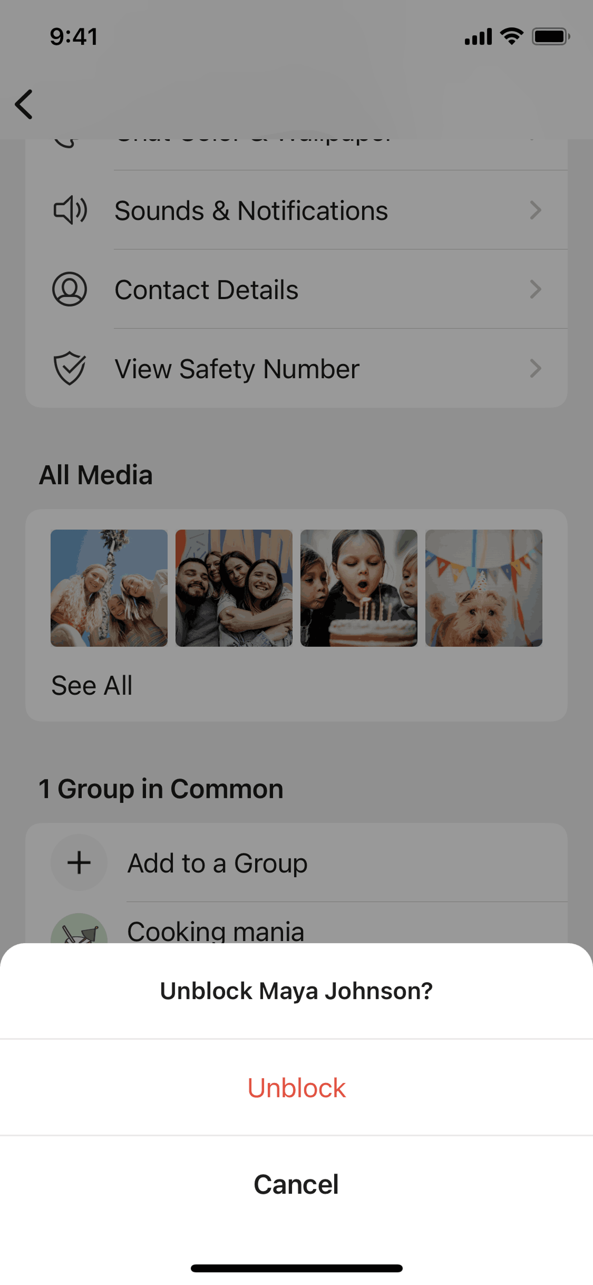 Signal iOS Social Networking interface screenshot 10